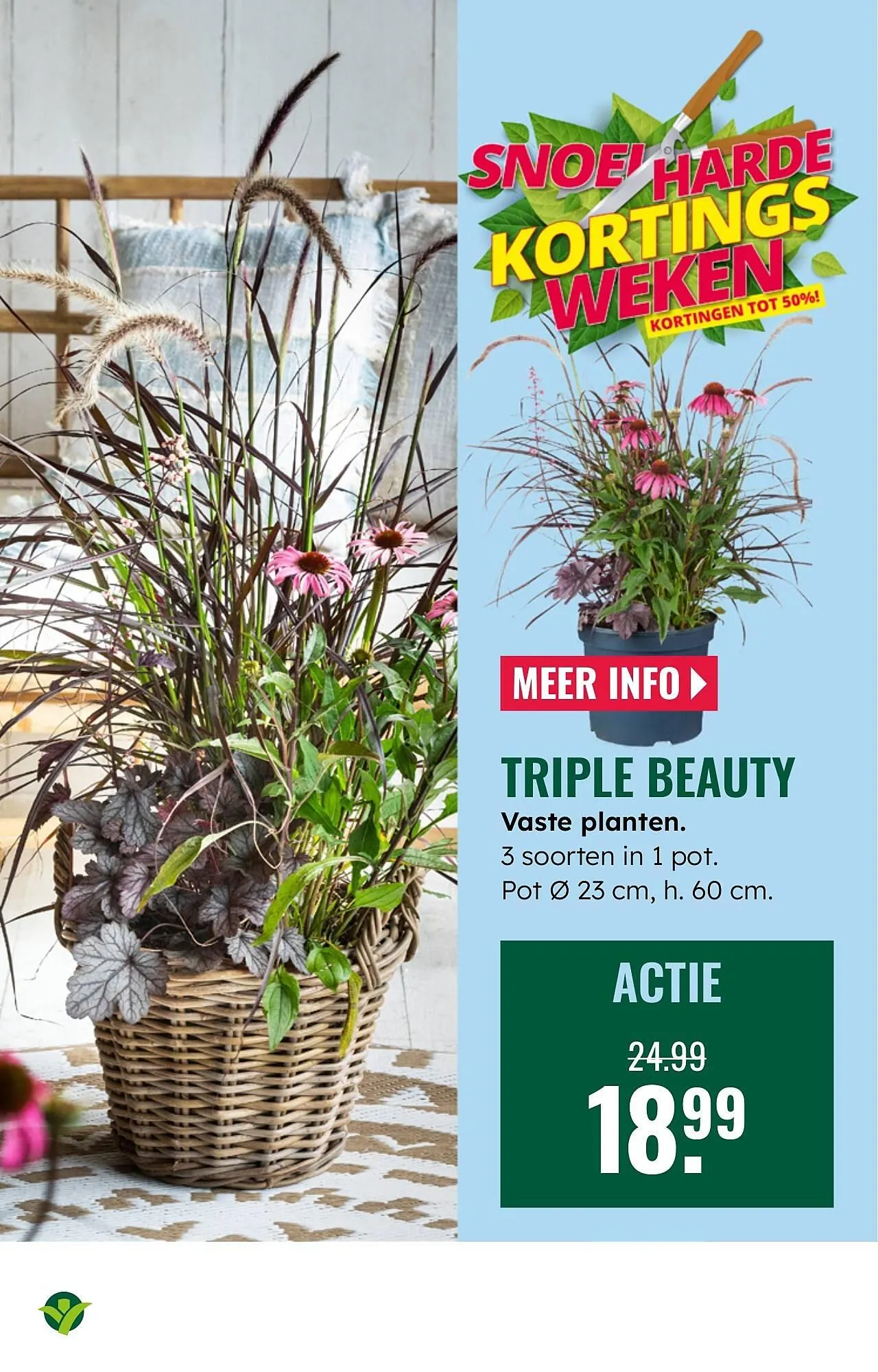 GroenRijk folder van 30 juli tot 12 augustus 2025 - Folder pagina 4