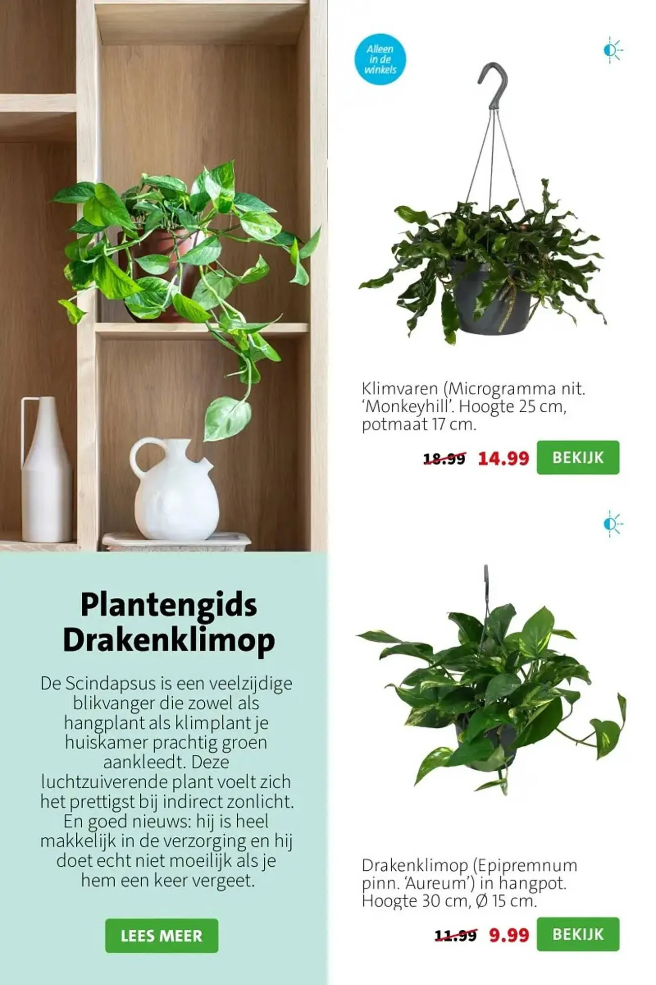 Intratuin folder van 23 maart tot 29 maart 2026 - Folder pagina 3