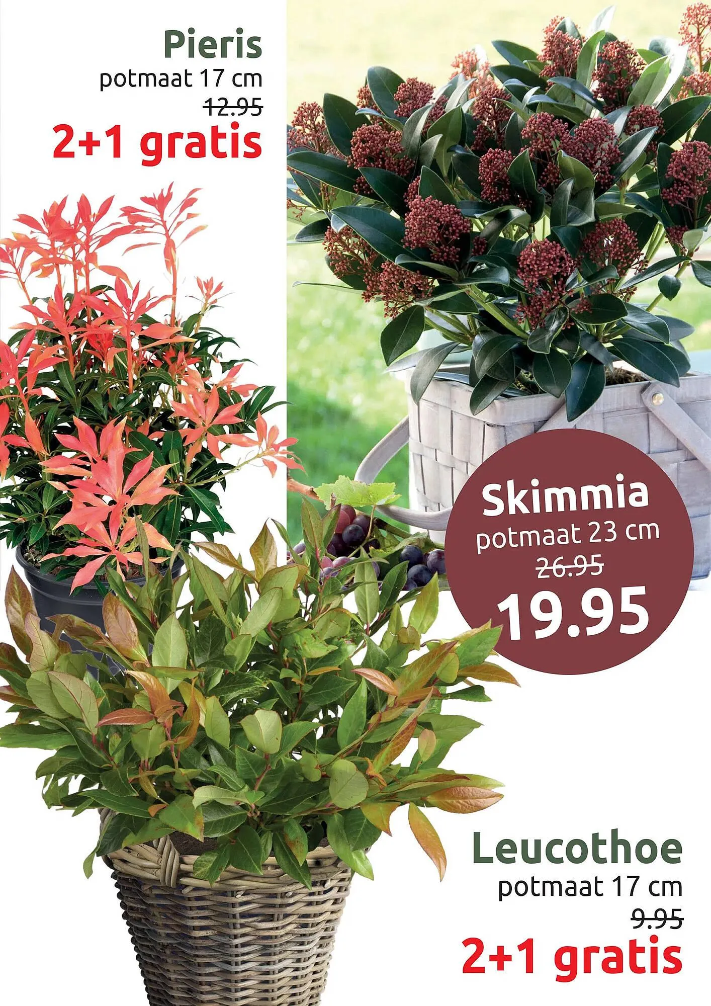 Deka Tuin folder van 29 september tot 12 oktober 2025 - Folder pagina 7