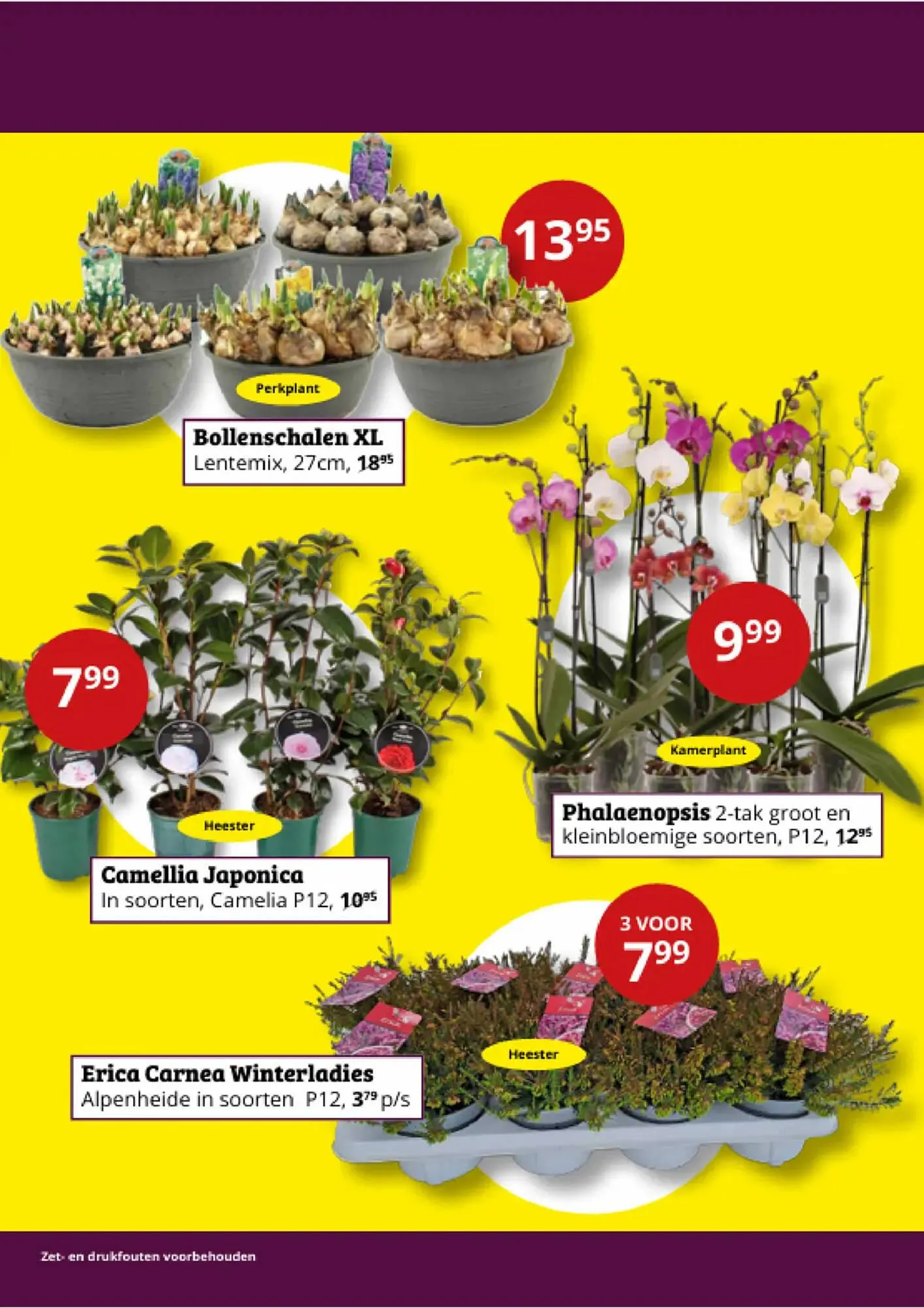 Tuinland folder van 2 februari tot 15 februari 2026 - Folder pagina 2