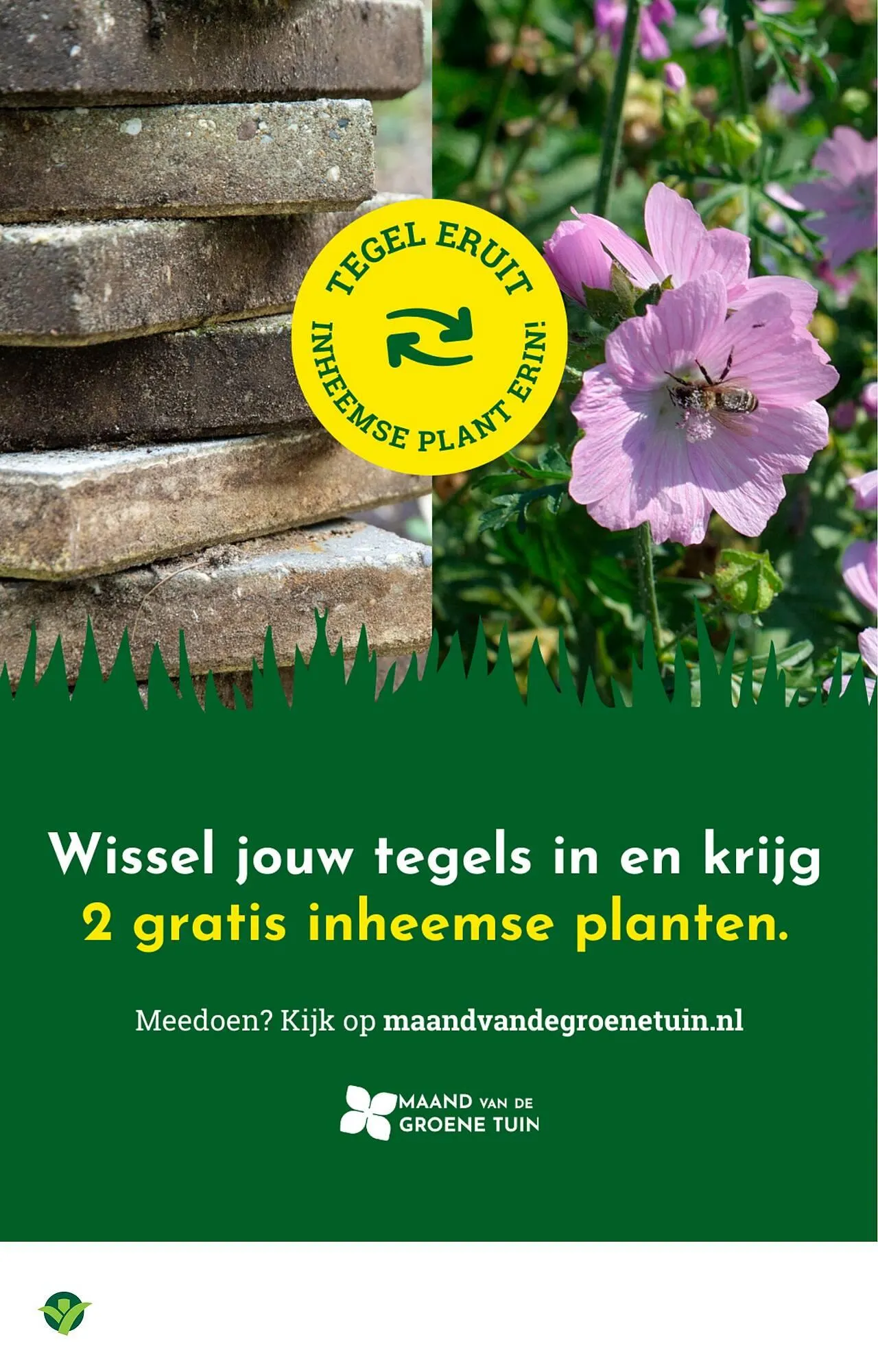 GroenRijk folder van 2 april tot 8 april 2026 - Folder pagina 15