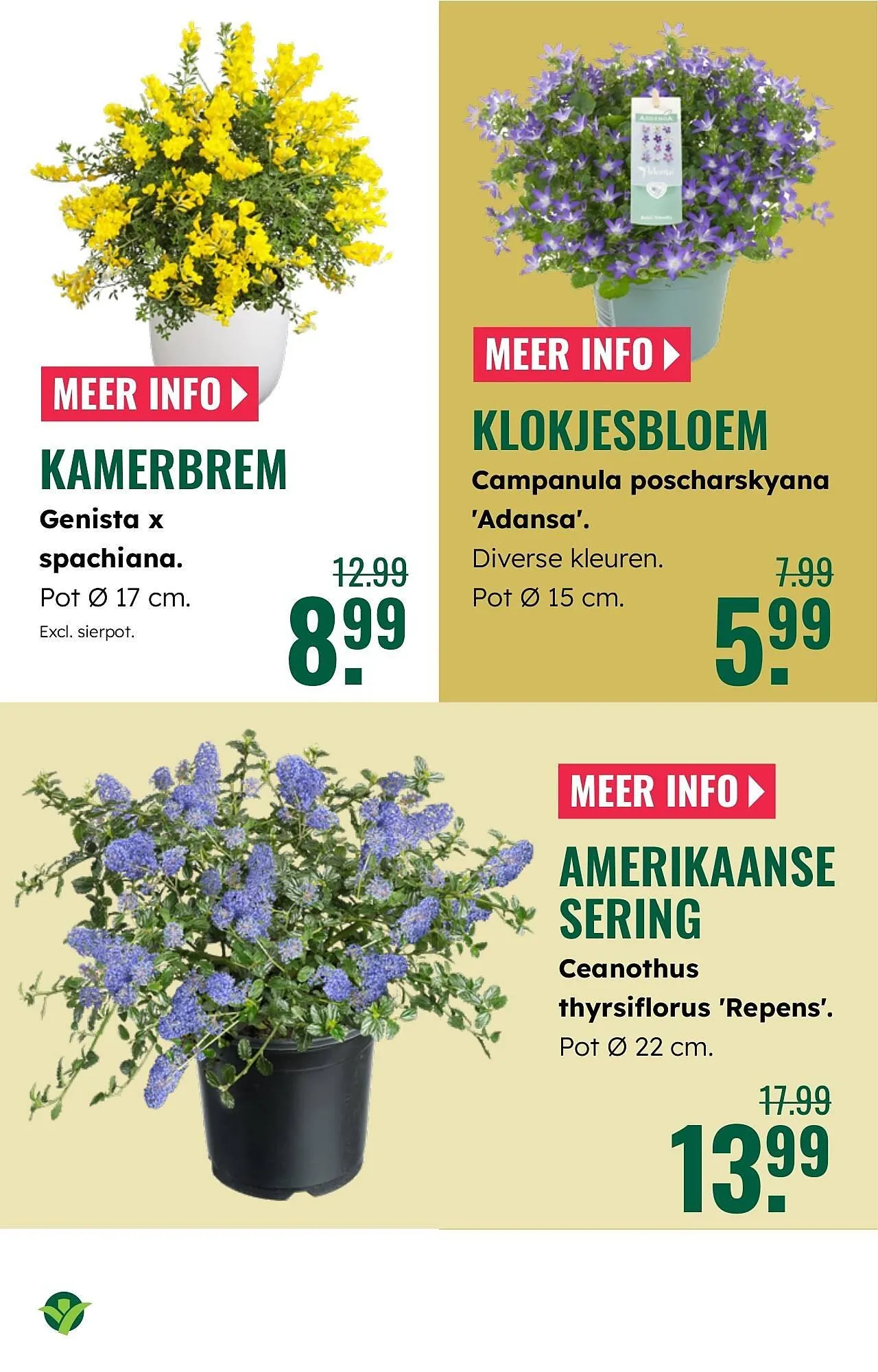 GroenRijk folder van 19 maart tot 25 maart 2026 - Folder pagina 7