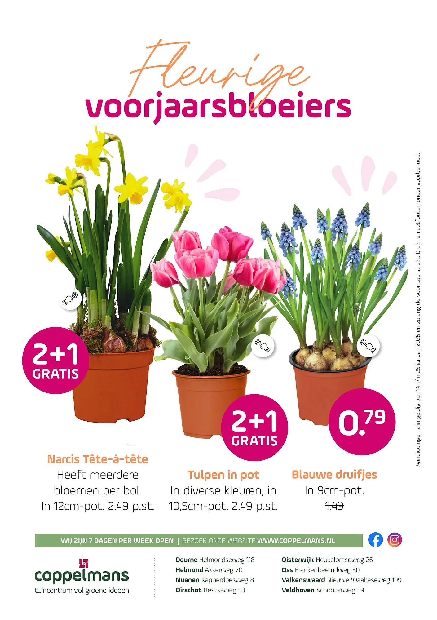 Coppelmans folder van 14 januari tot 25 januari 2026 - Folder pagina 8