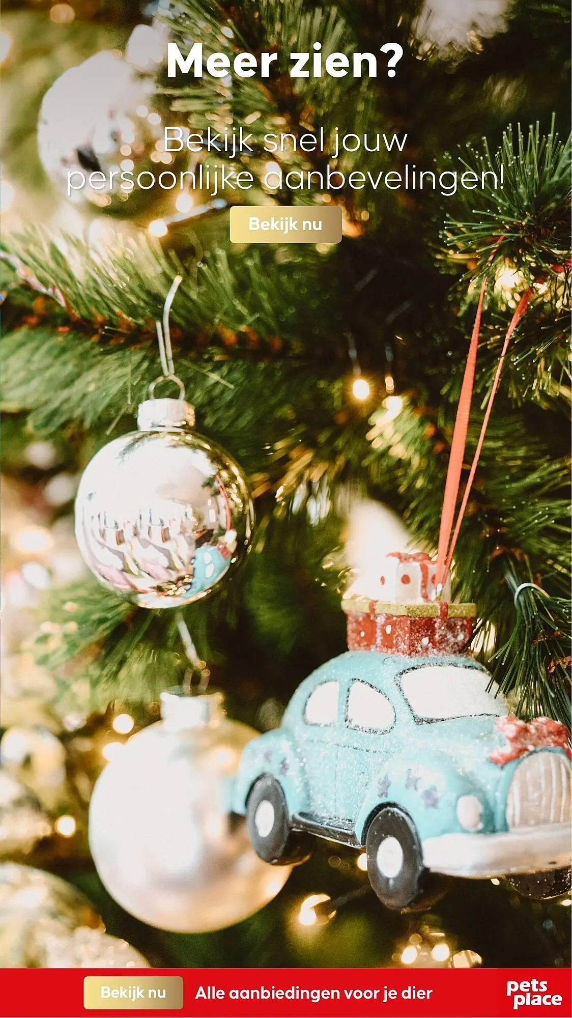 Pets Place folder van 6 november tot 3 december 2023 - Folder pagina 31