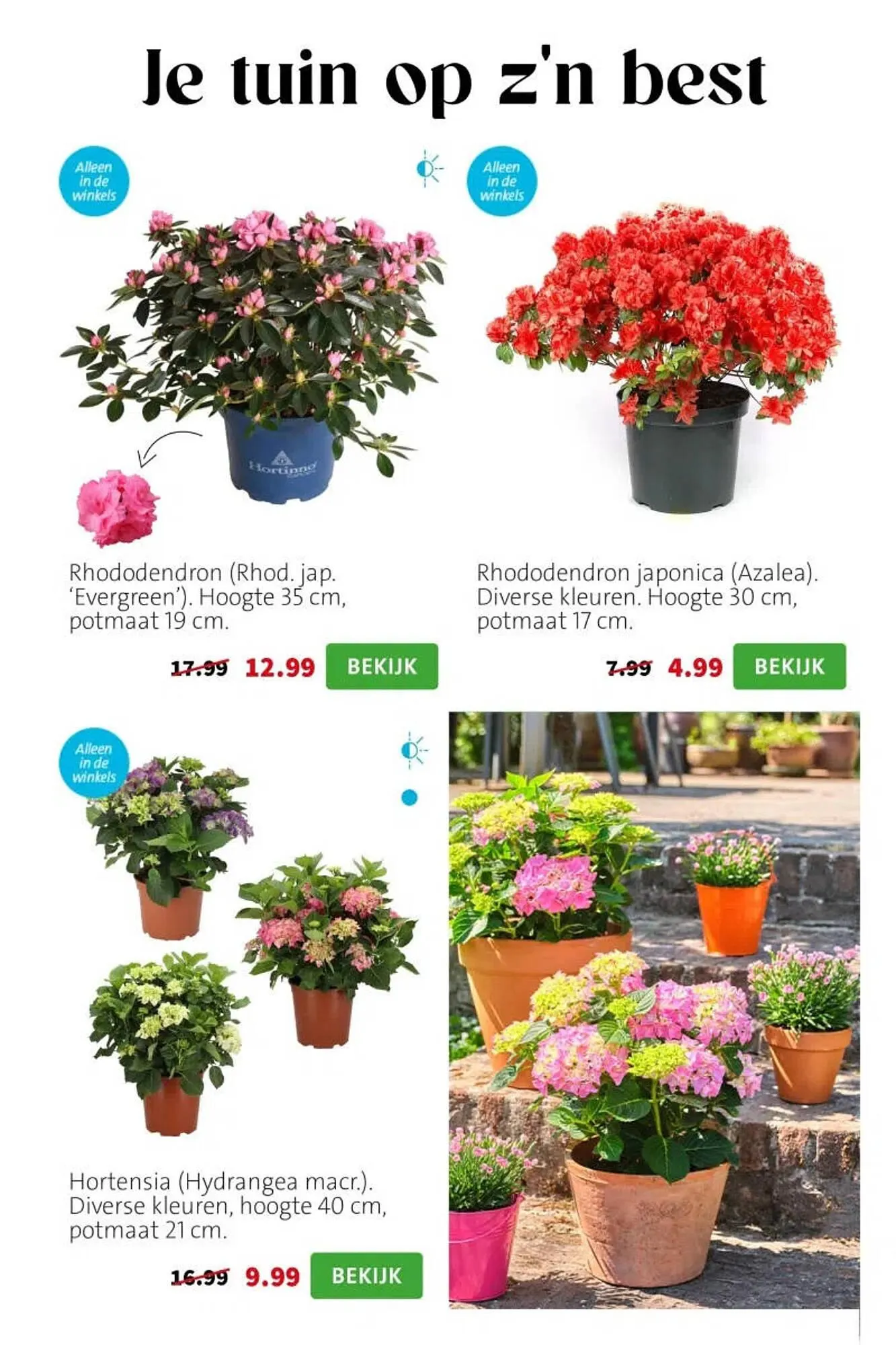 Intratuin folder van 6 april tot 12 april 2026 - Folder pagina 5