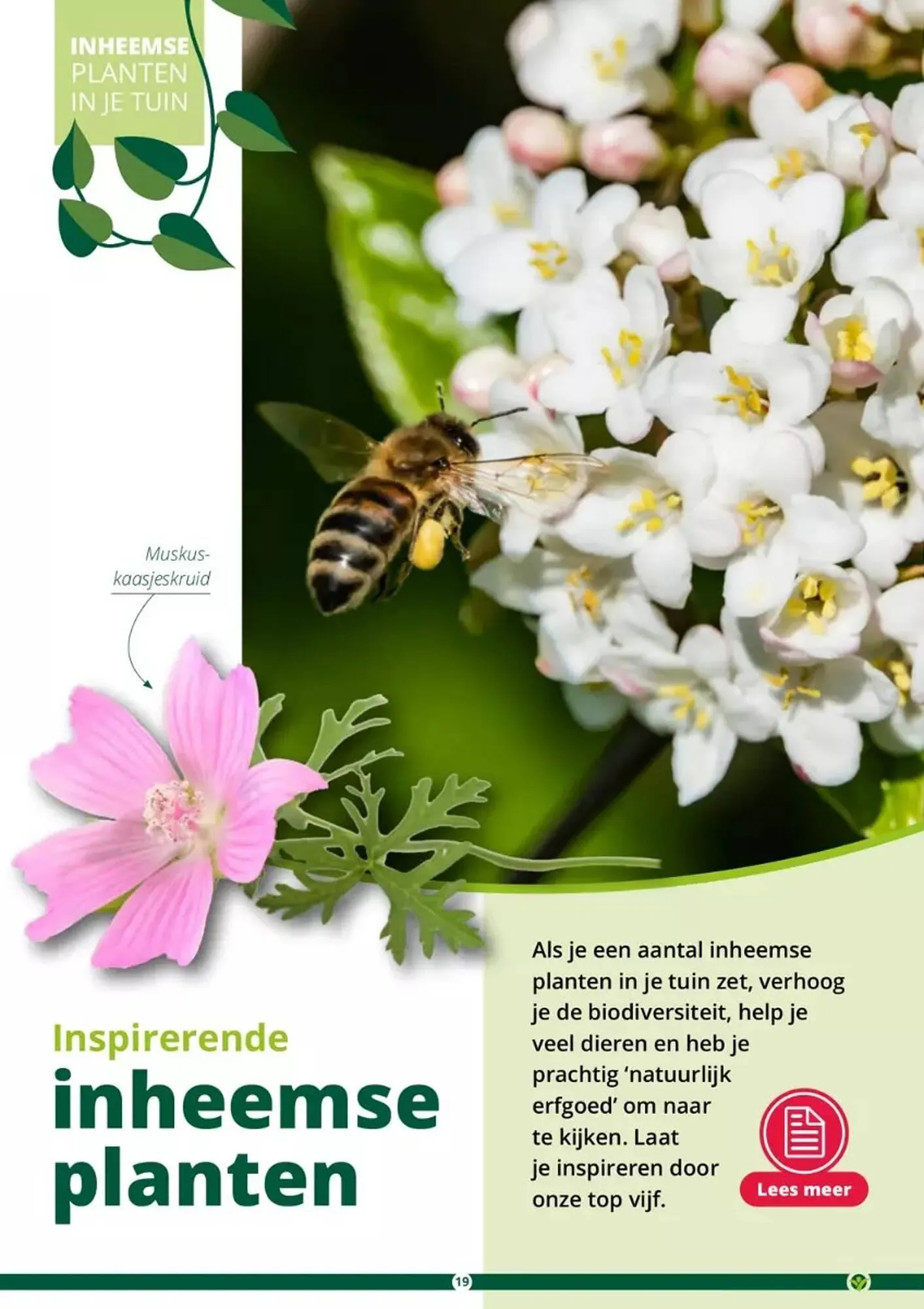 GroenRijk folder van 17 mei tot 31 augustus 2023 - Folder pagina 19