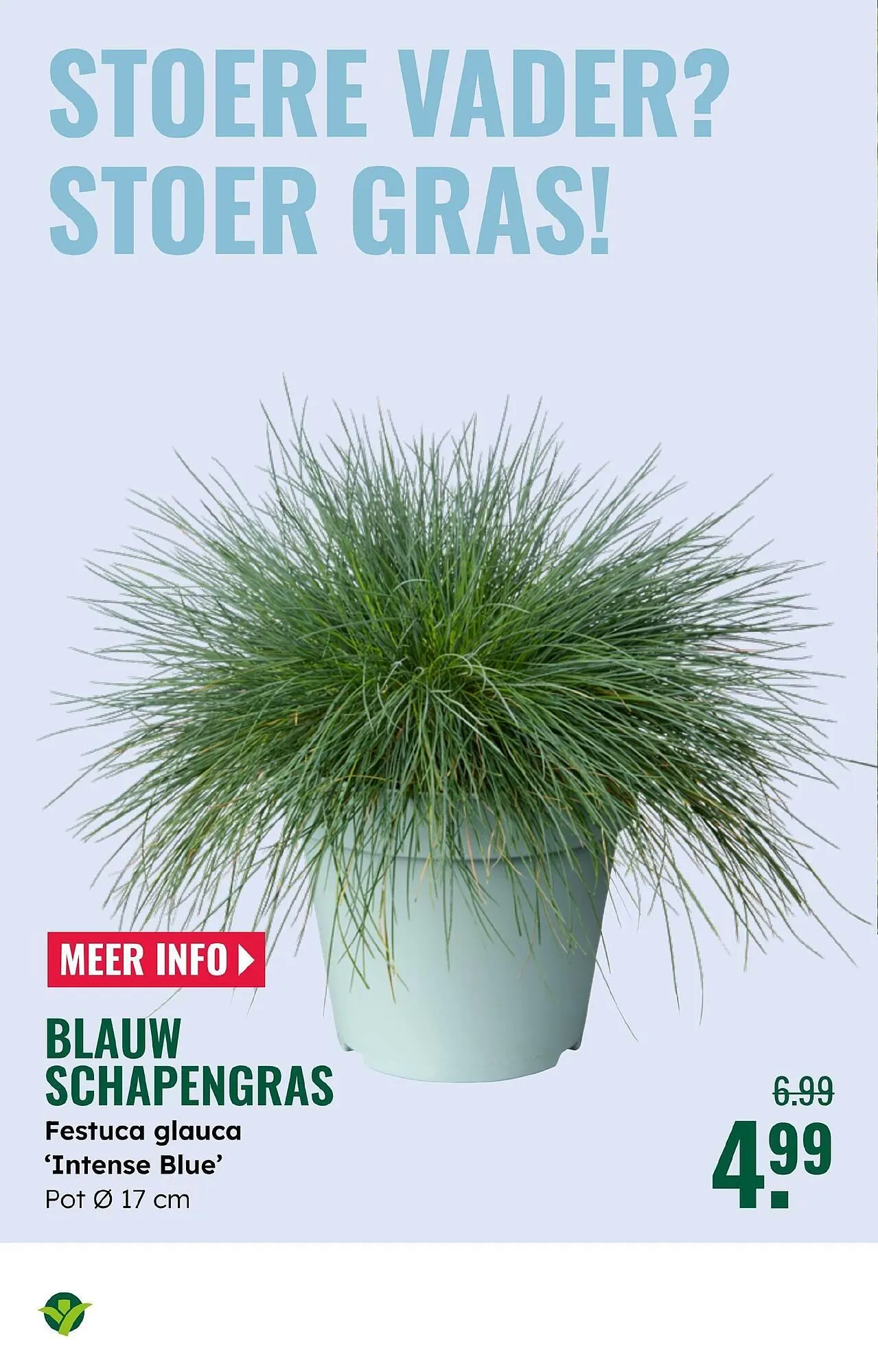 GroenRijk folder van 4 juni tot 17 juni 2025 - Folder pagina 4