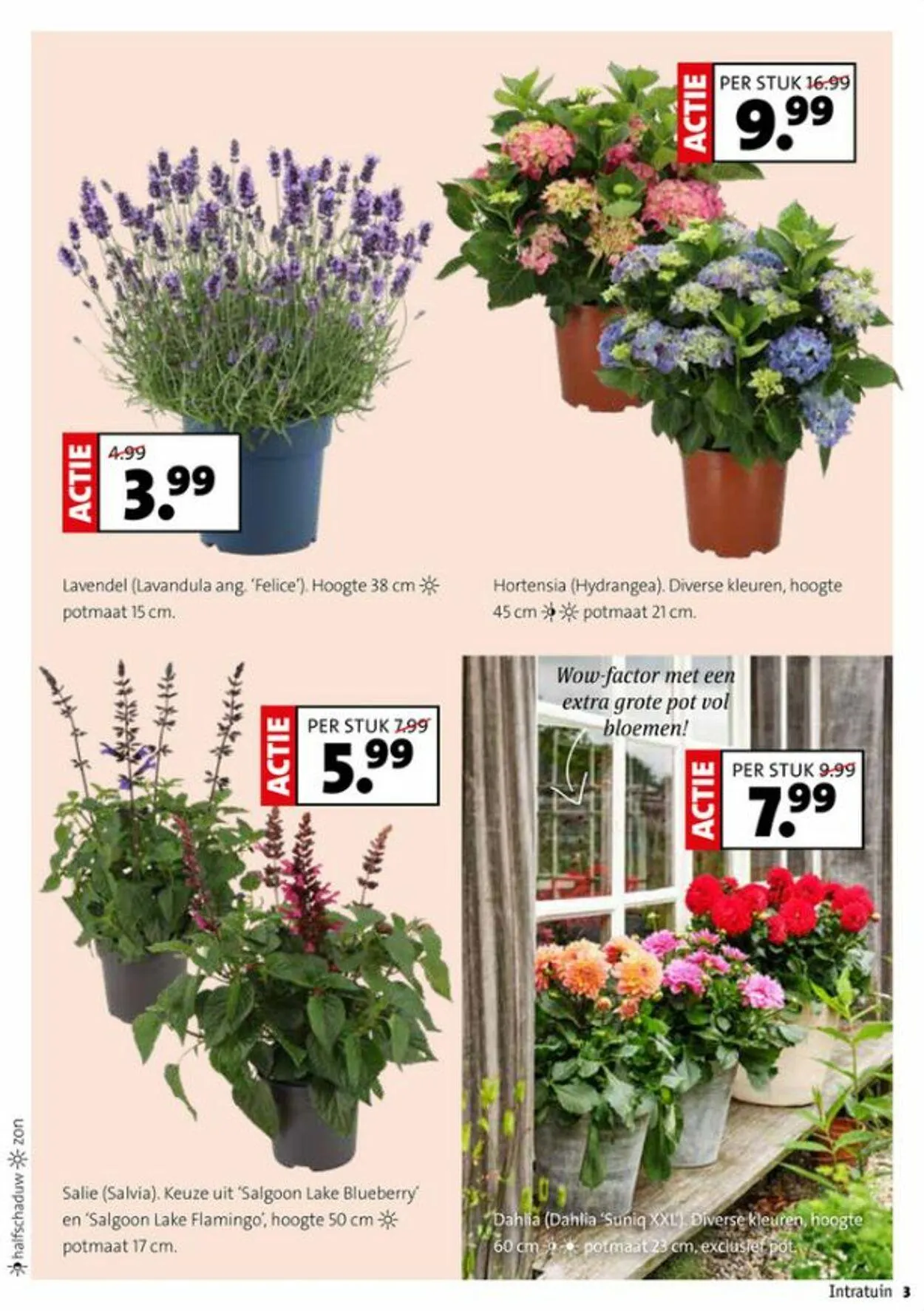 Intratuin Actuele folder van 26 oktober tot 9 november 2025 - Folder pagina 3