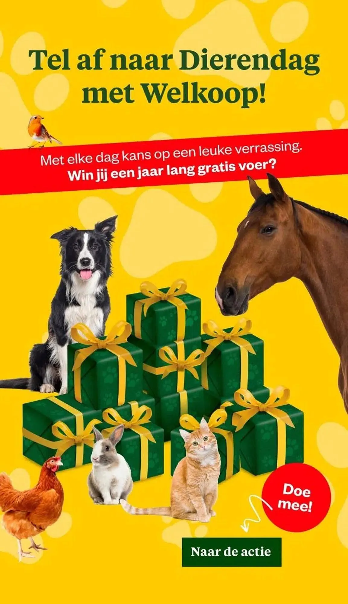 Welkoop folder van 29 september tot 5 oktober 2025 - Folder pagina 2