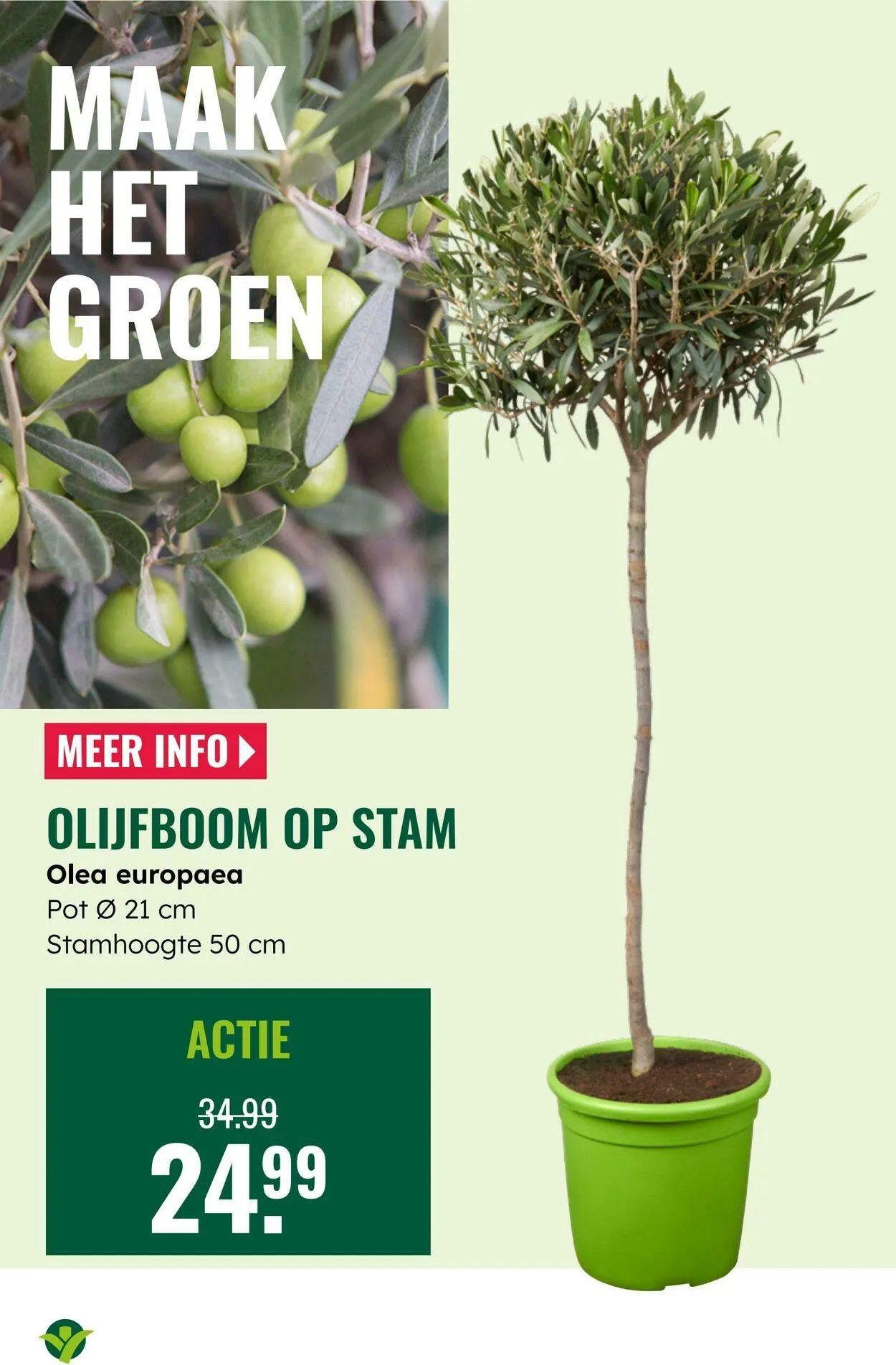 GroenRijk Actuele folder van 5 augustus tot 19 augustus 2025 - Folder pagina 12