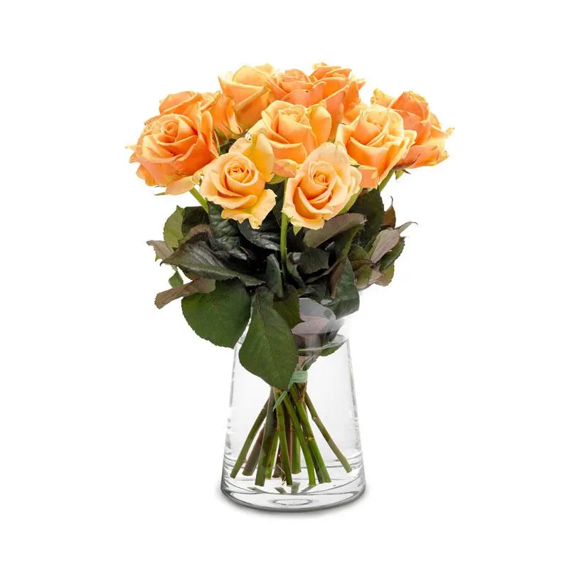 Abrikooskleurige rozen