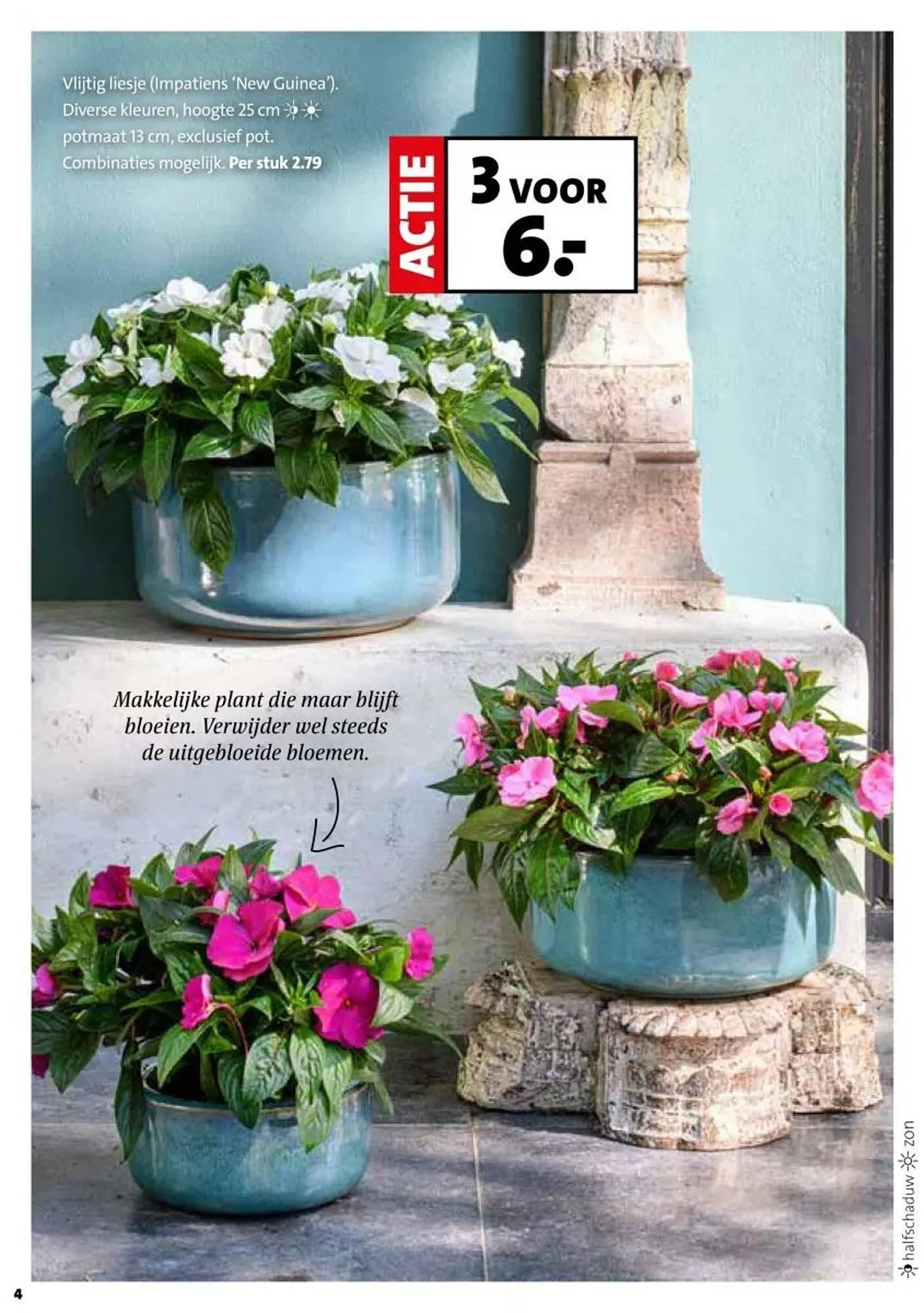 Intratuin folder van 28 april tot 4 mei 2025 - Folder pagina 4