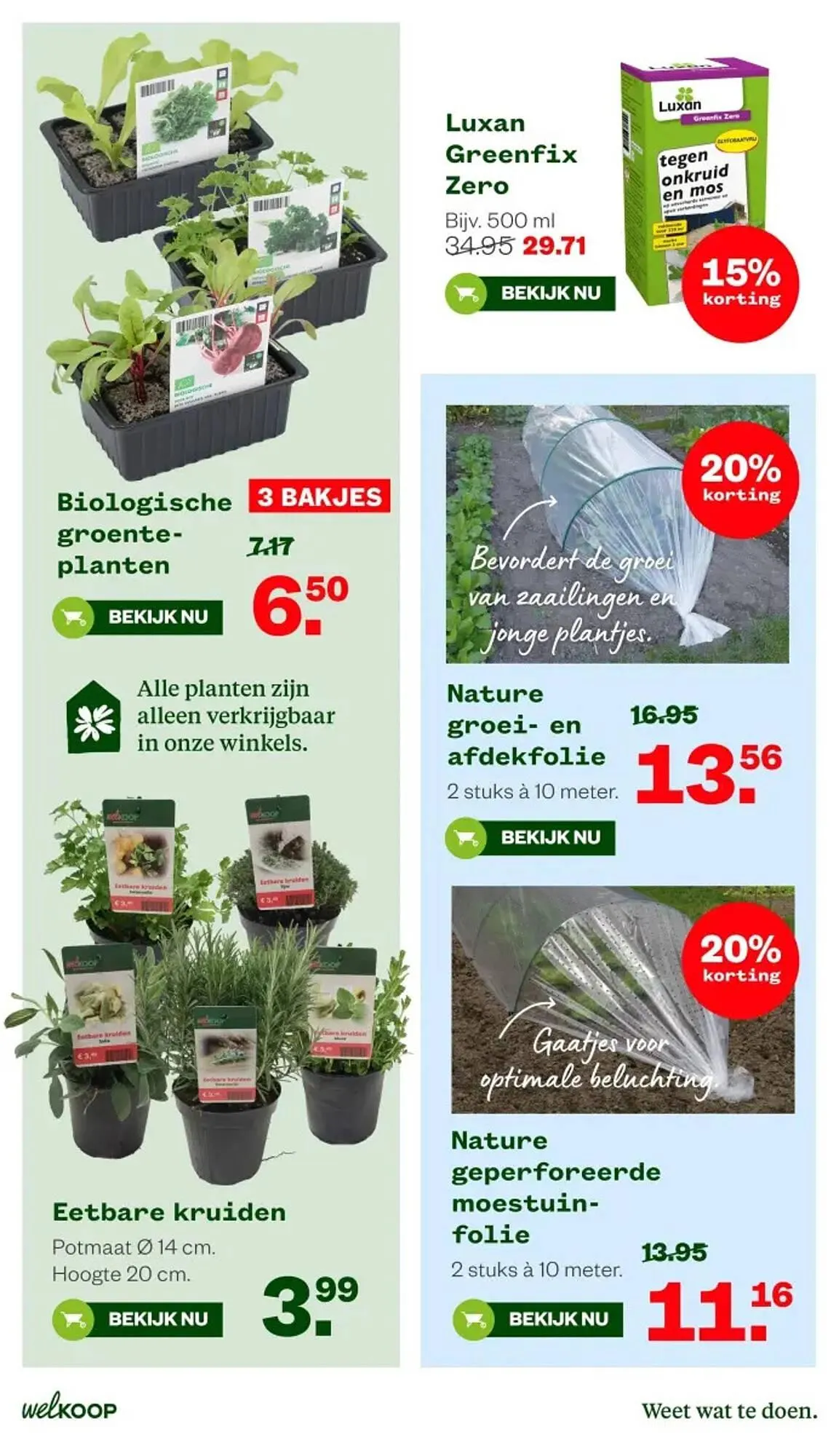 Welkoop folder van 30 maart tot 5 april 2026 - Folder pagina 6