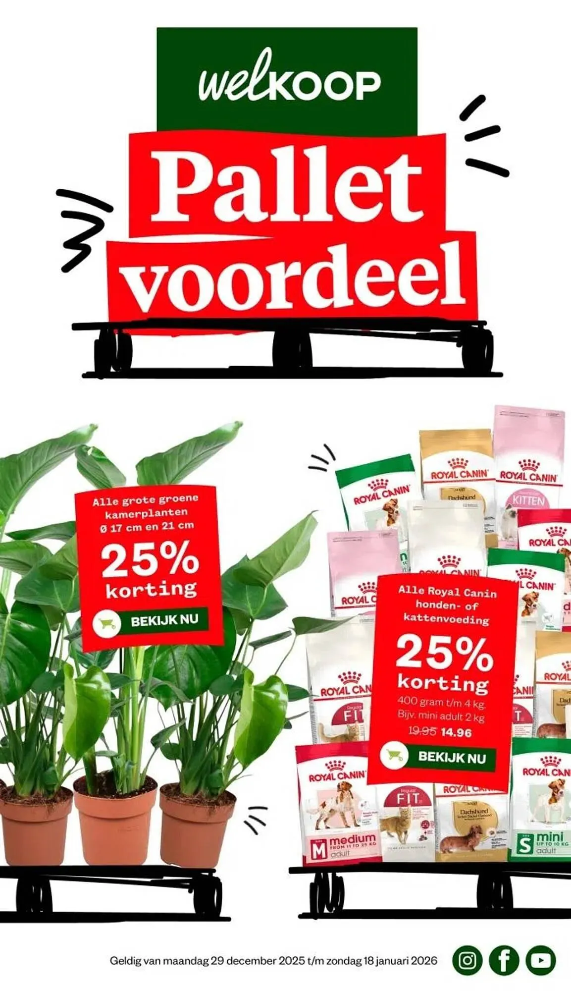 Welkoop folder van 29 december tot 4 januari 2026 - Folder pagina 1