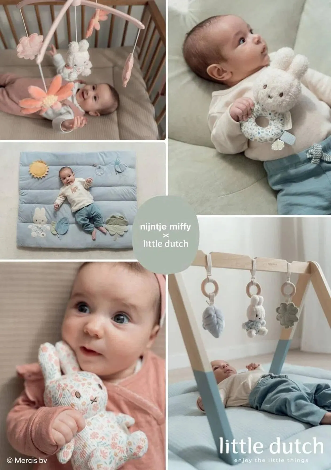 Babypark folder van 10 november tot 15 december 2025 - Folder pagina 43