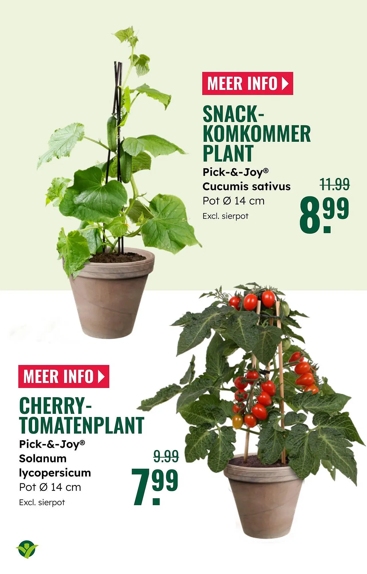 GroenRijk folder van 16 april tot 29 april 2025 - Folder pagina 26