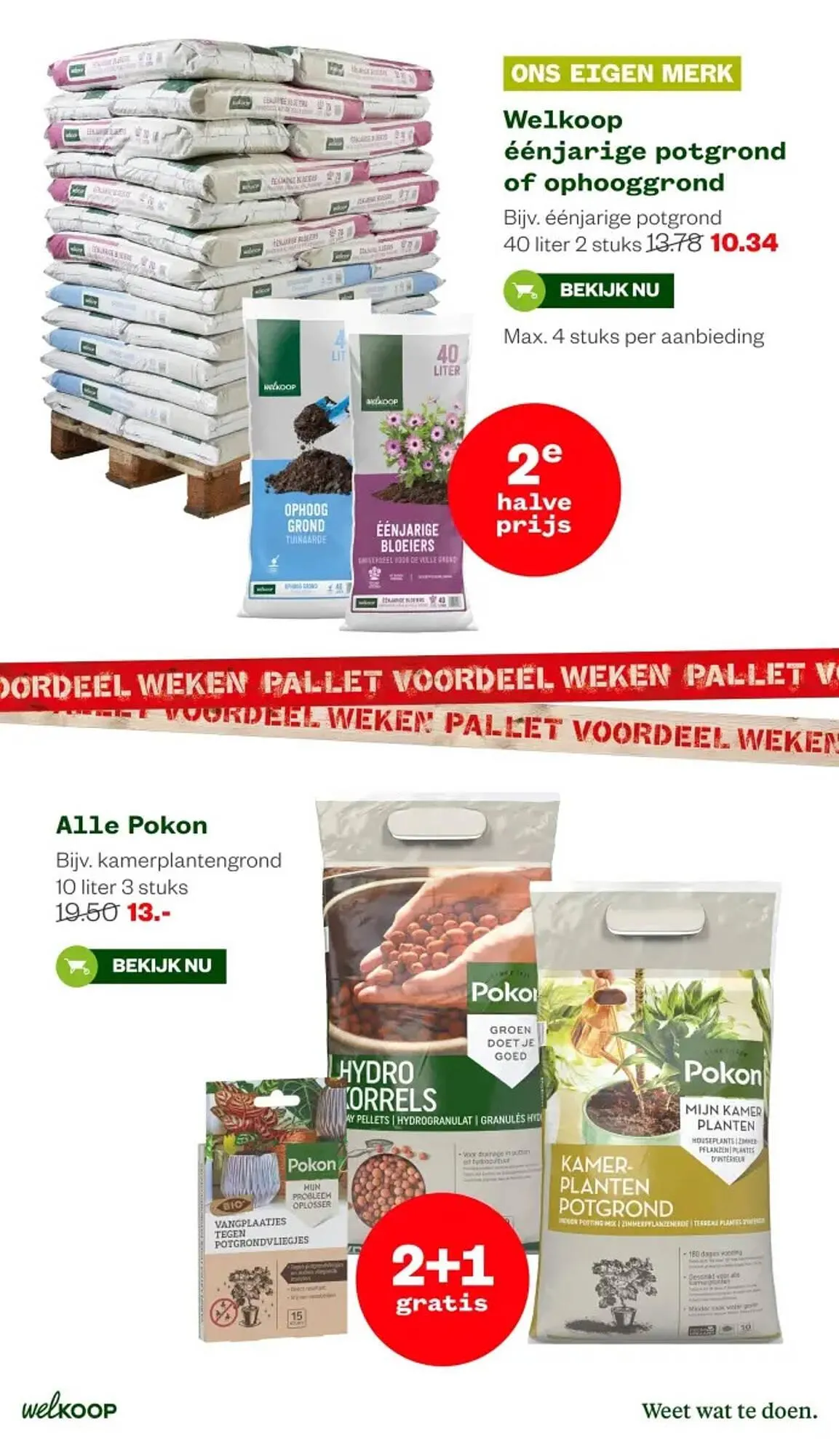 Welkoop folder van 30 december tot 12 januari 2025 - Folder pagina 13