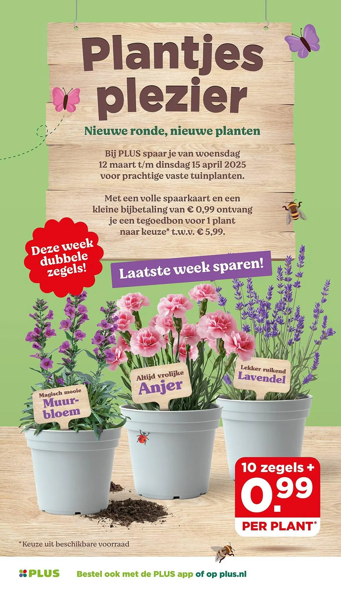 PLUS folder van 9 april tot 15 april 2025 - Folder pagina 41