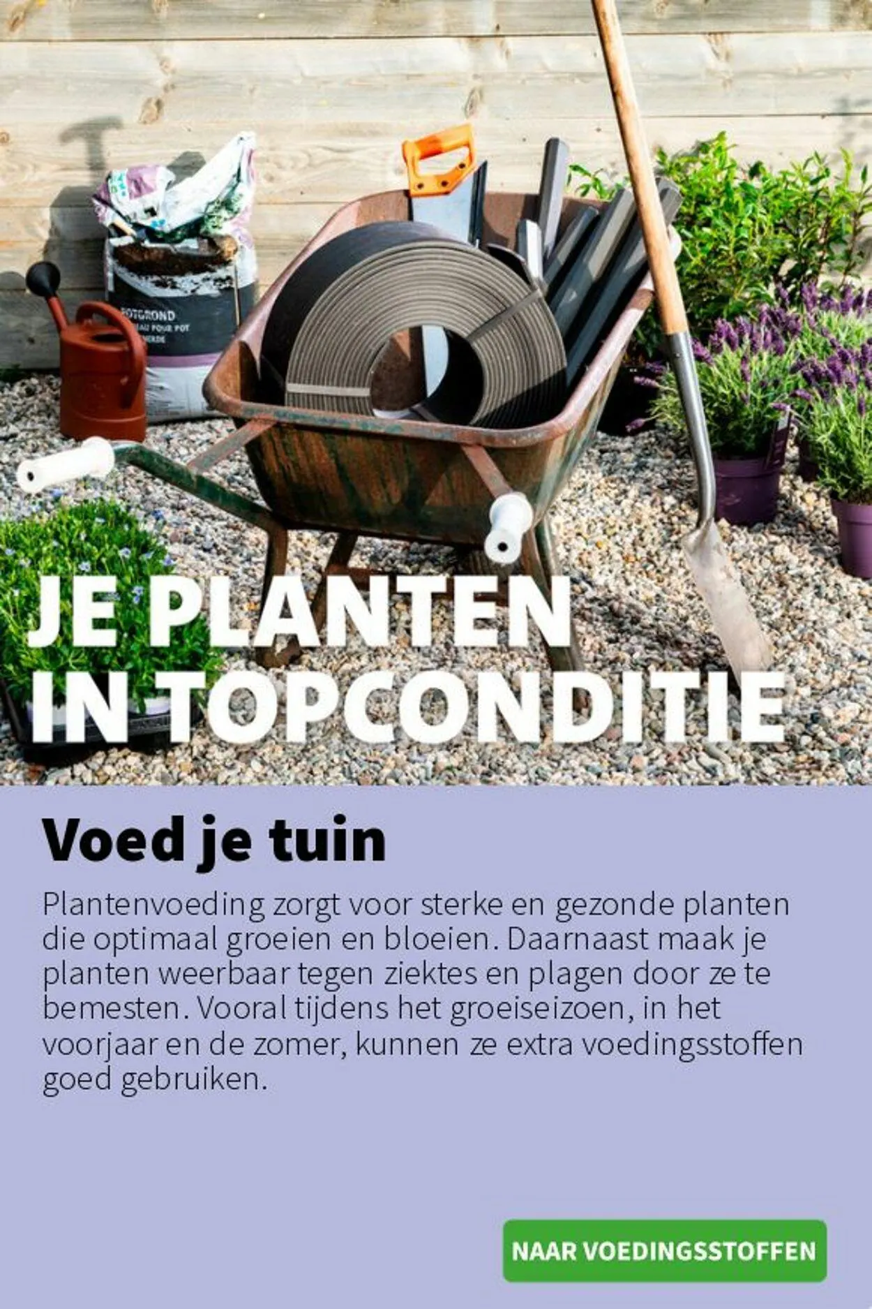 Intratuin Actuele folder van 9 november tot 23 november 2025 - Folder pagina 5