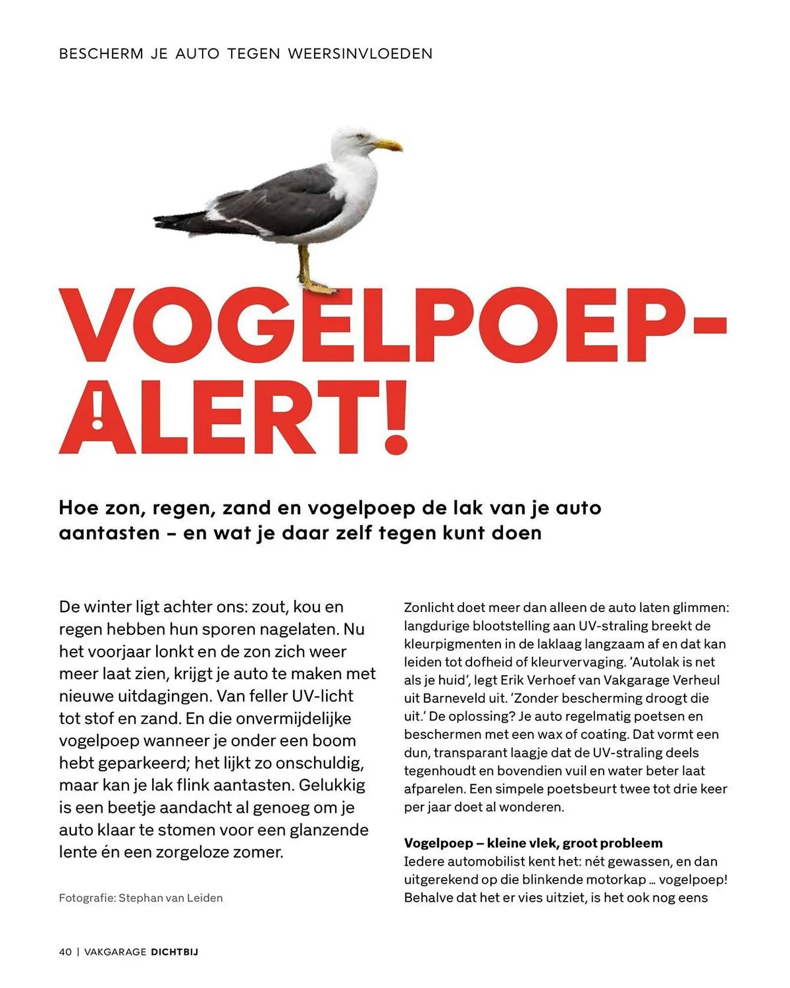 Vakgarage folder van 21 april tot 31 mei 2026 - Folder pagina 40