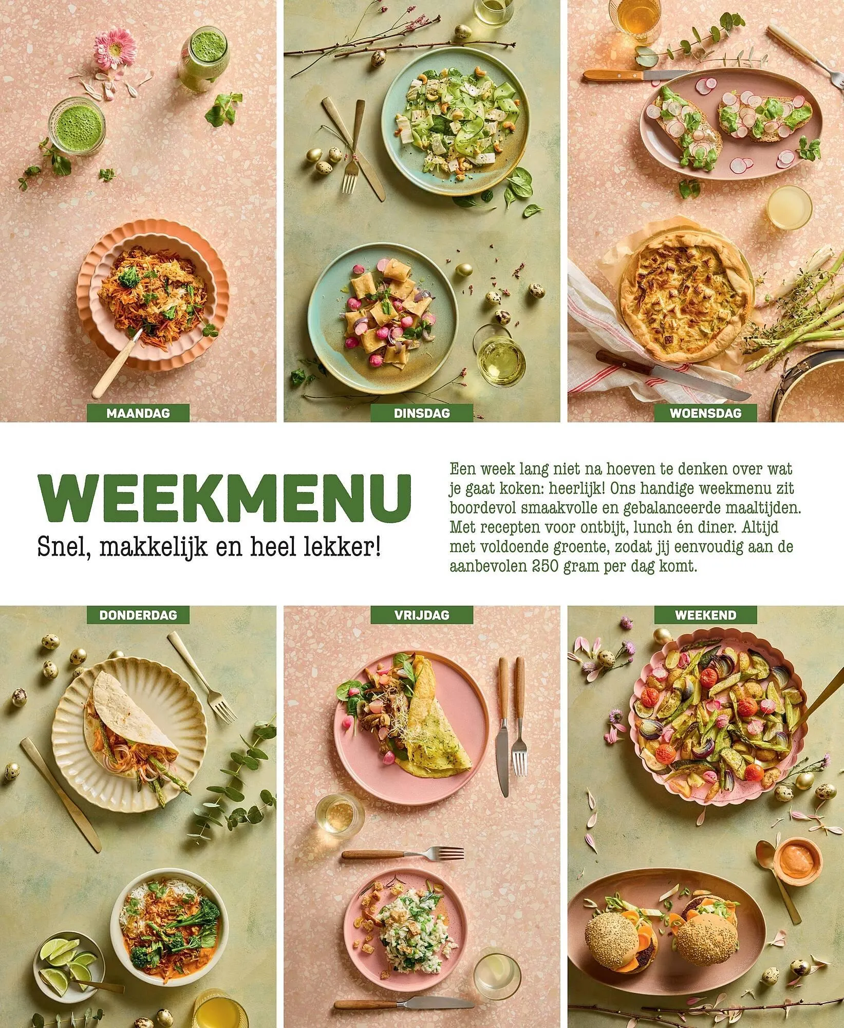 Ekoplaza magazine van 18 maart tot 21 mei 2026 - Folder pagina 27