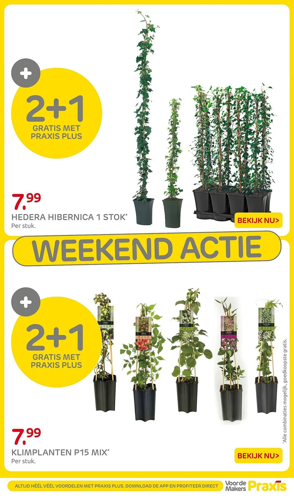 Praxis folder van 27 april tot 27 april 2026 - Folder pagina 3