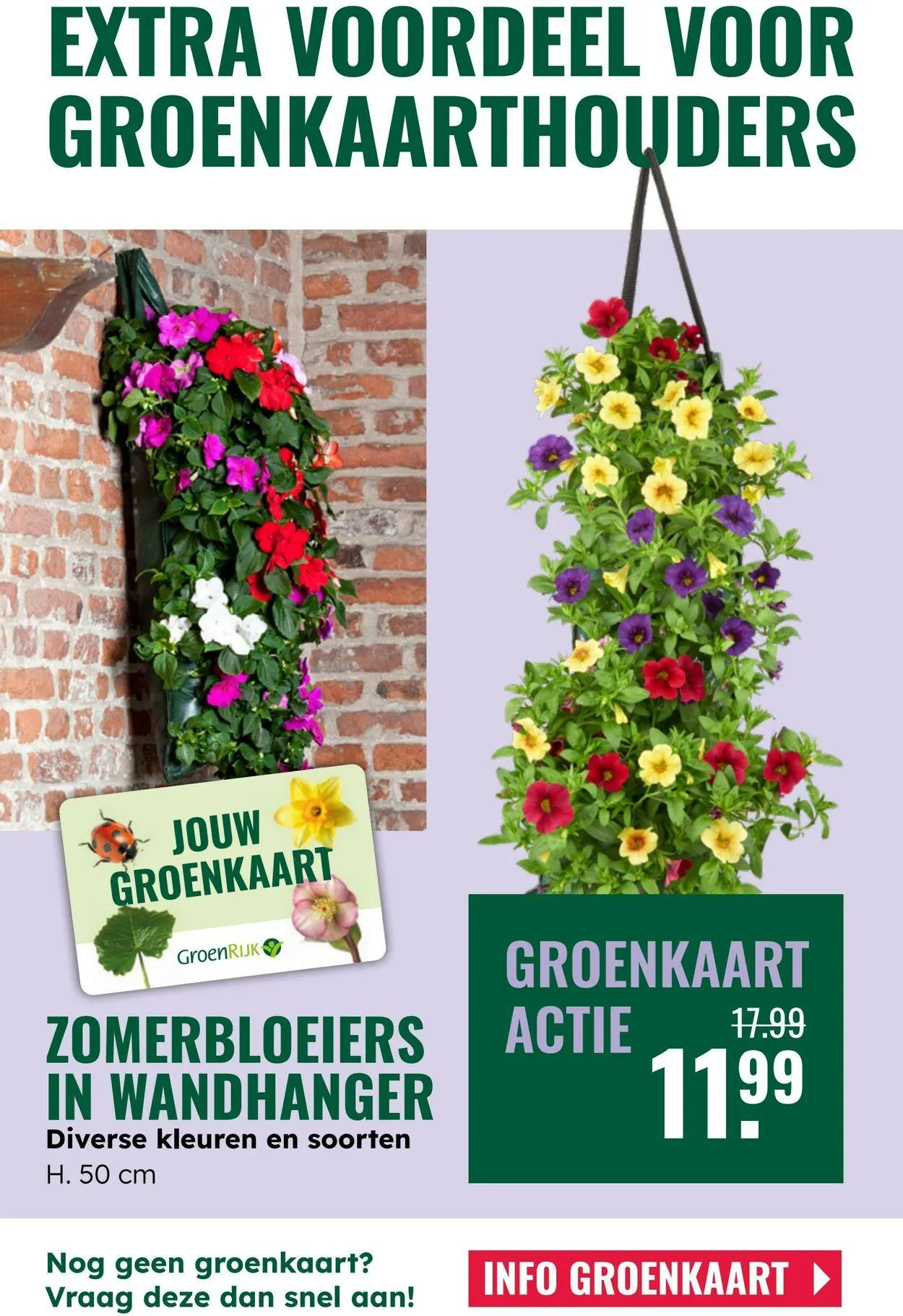 GroenRijk Actuele folder van 5 augustus tot 19 augustus 2025 - Folder pagina 8