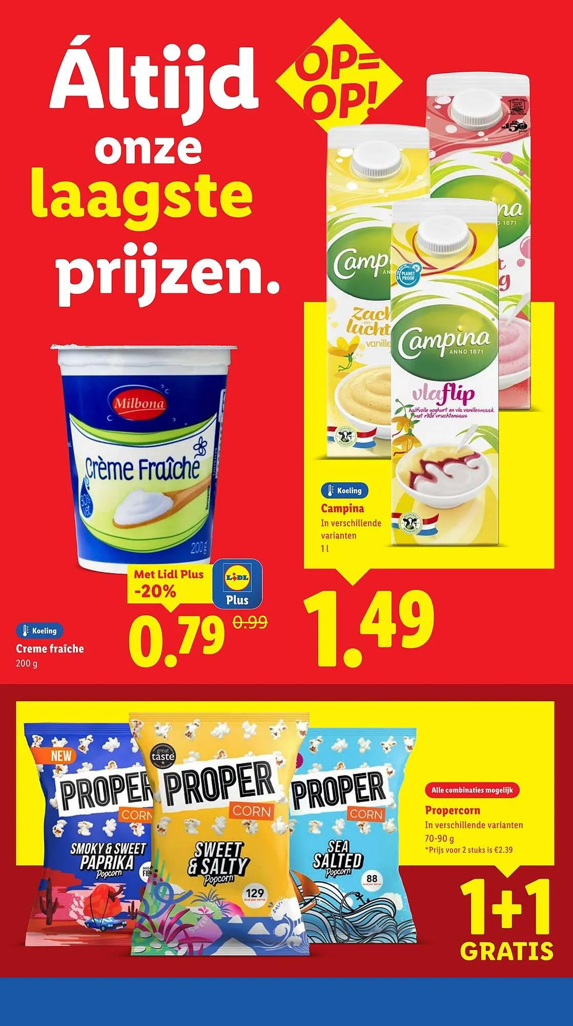 Lidl folder van 11 augustus tot 17 augustus 2025 - Folder pagina 13