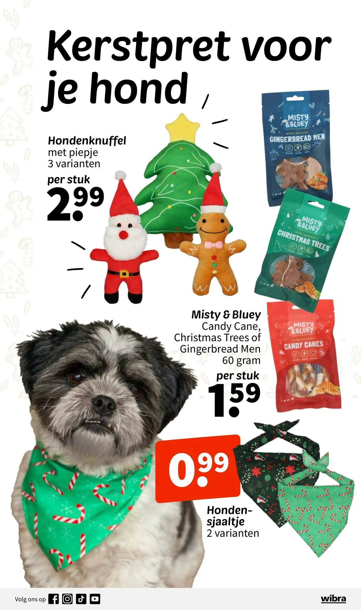 Wibra Actuele folder van 17 januari tot 31 januari 2025 - Folder pagina 10