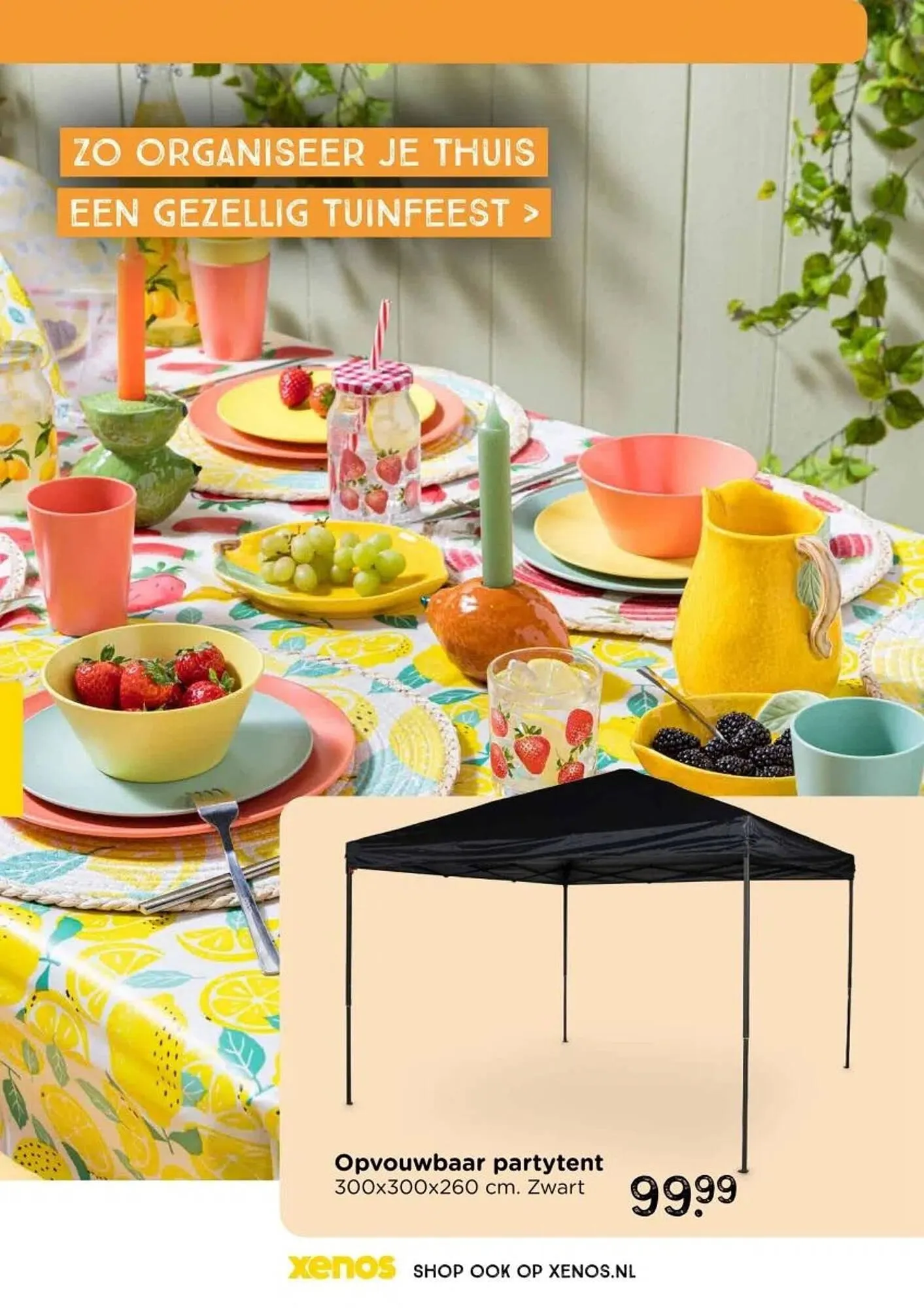 Xenos folder van 27 april tot 30 augustus 2025 - Folder pagina 17