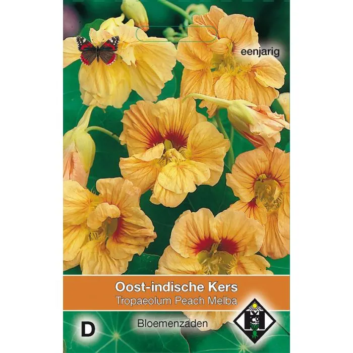 Oost-Indische Kers