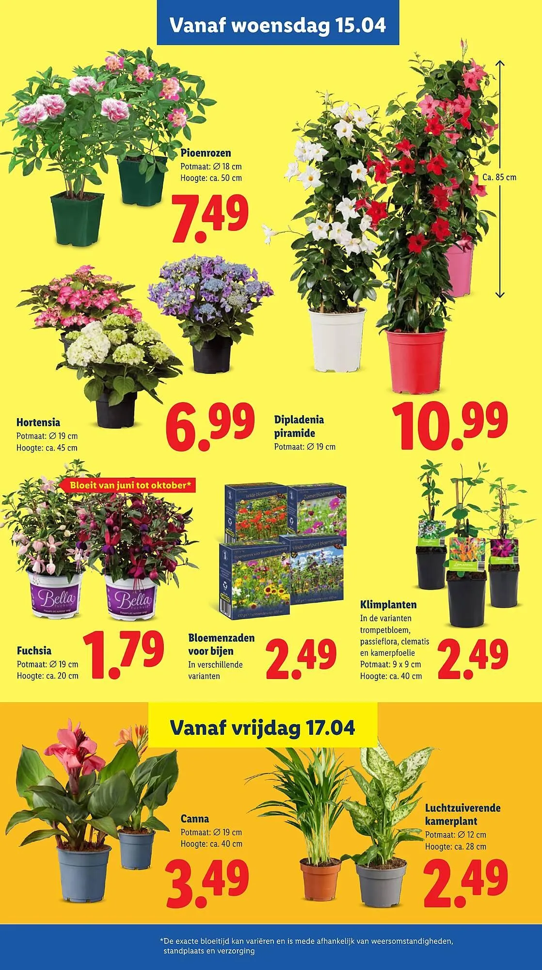 Lidl folder van 13 april tot 19 april 2026 - Folder pagina 24
