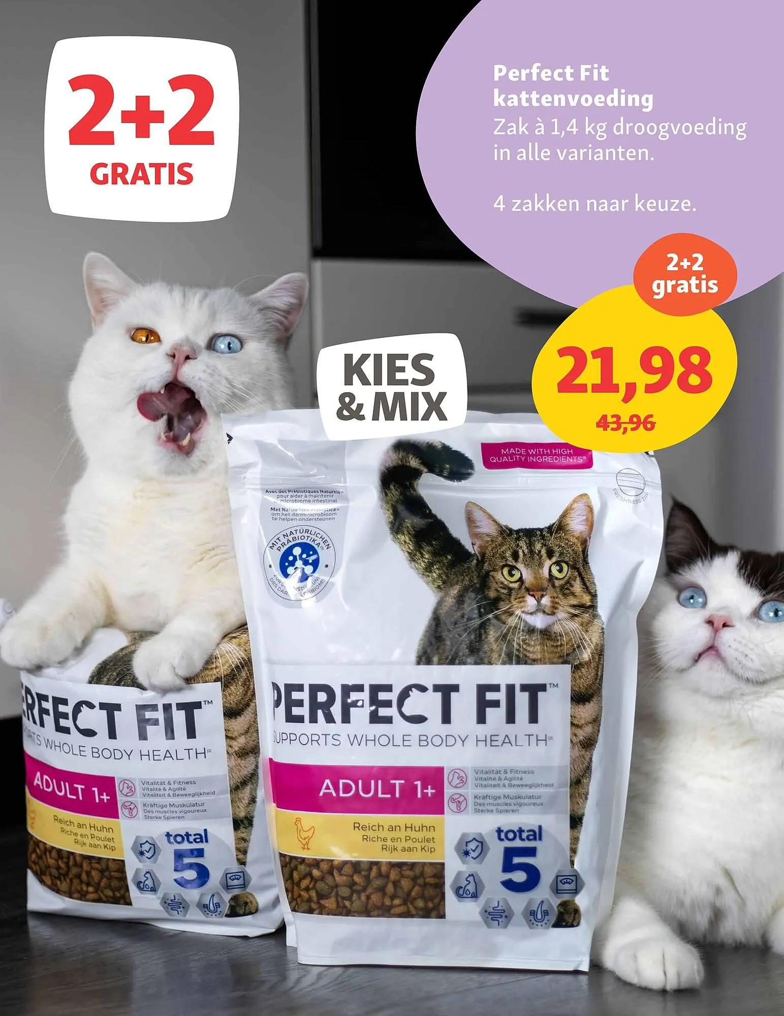 Maxi Zoo folder van 9 juni tot 15 juni 2025 - Folder pagina 18