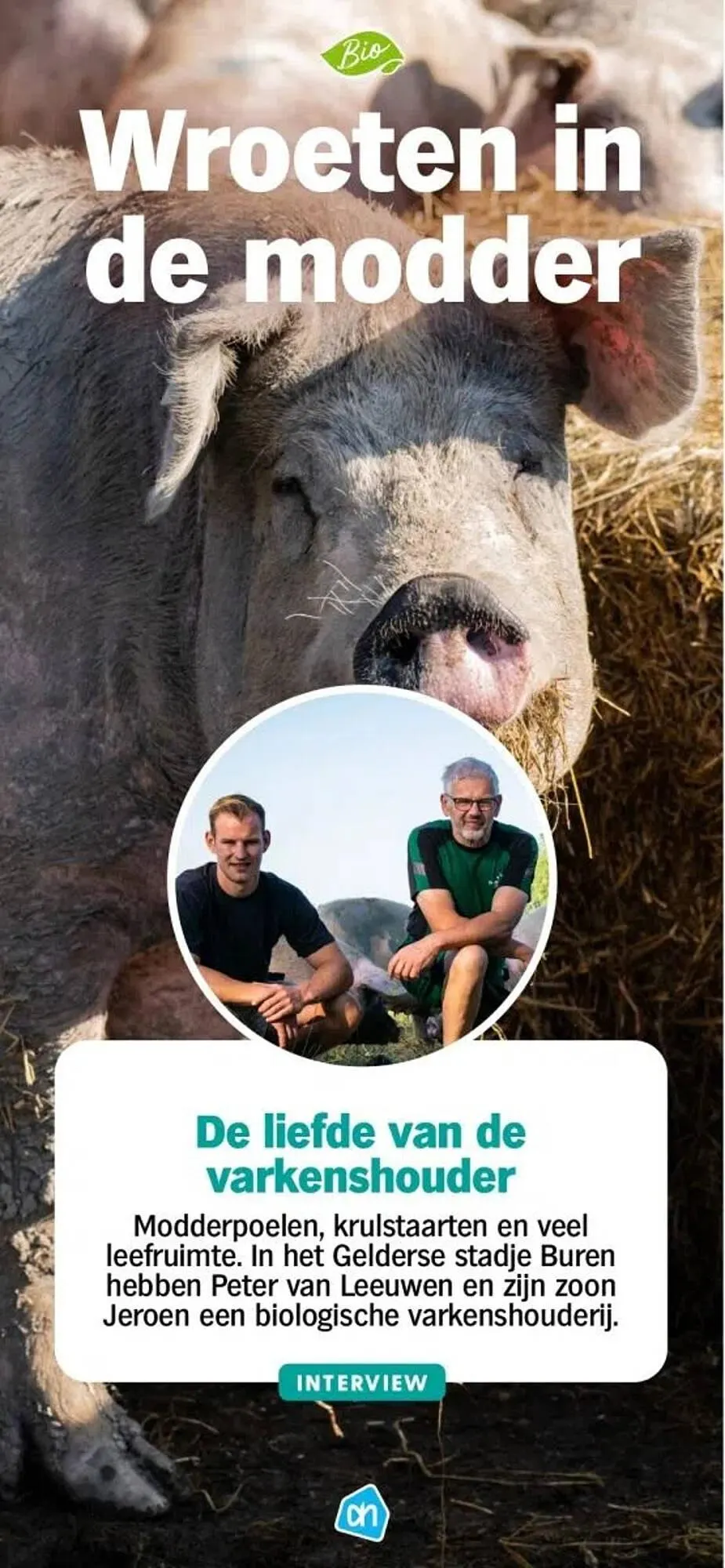 Albert Heijn folder van 24 april tot 7 september 2025 - Folder pagina 35