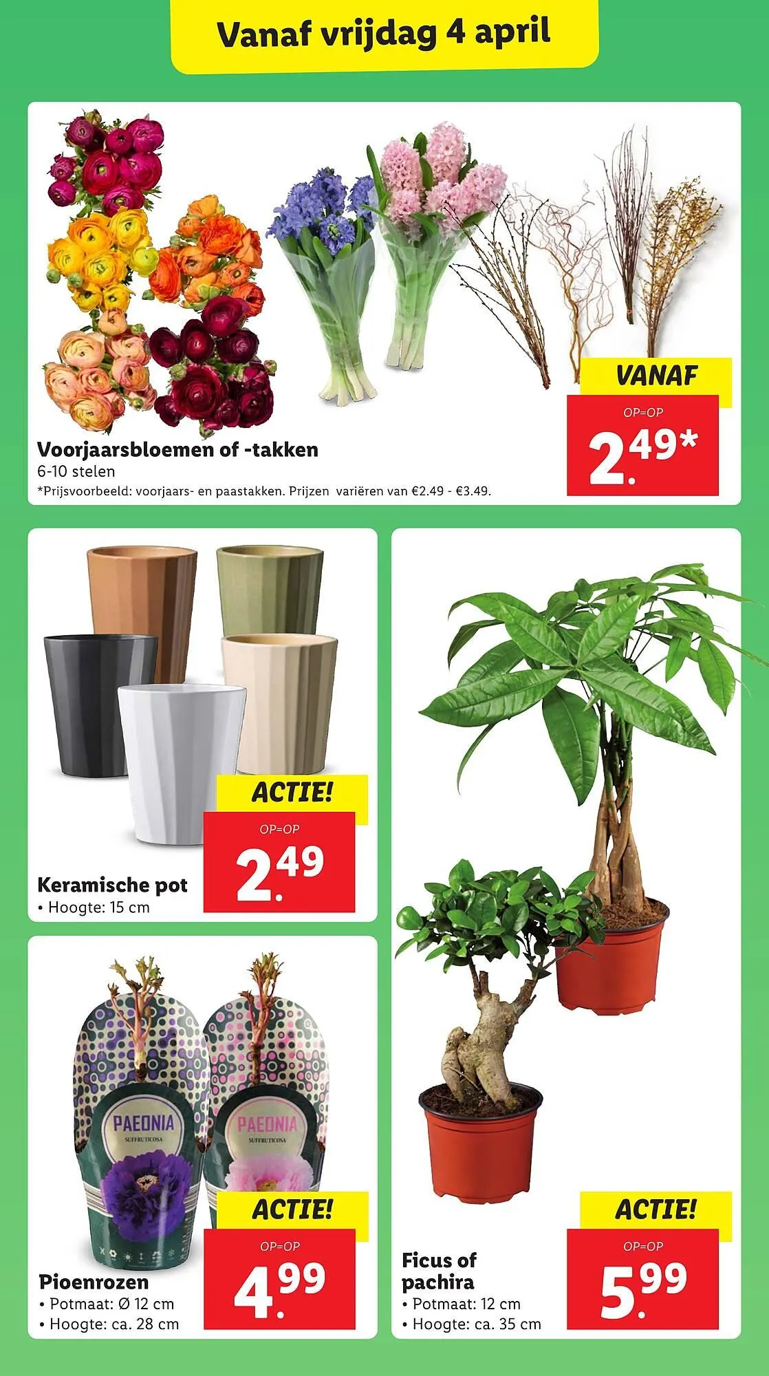 Lidl folder van 31 maart tot 6 april 2025 - Folder pagina 18