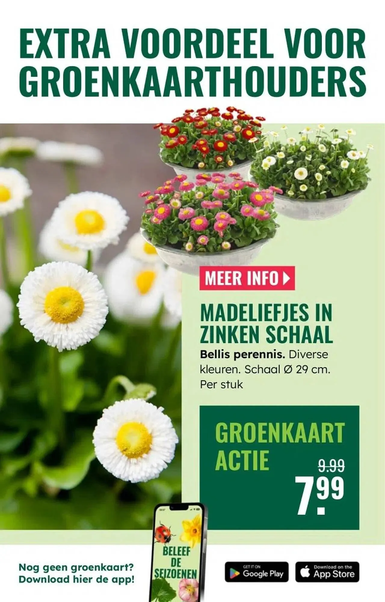 GroenRijk folder van 5 maart tot 11 maart 2026 - Folder pagina 11