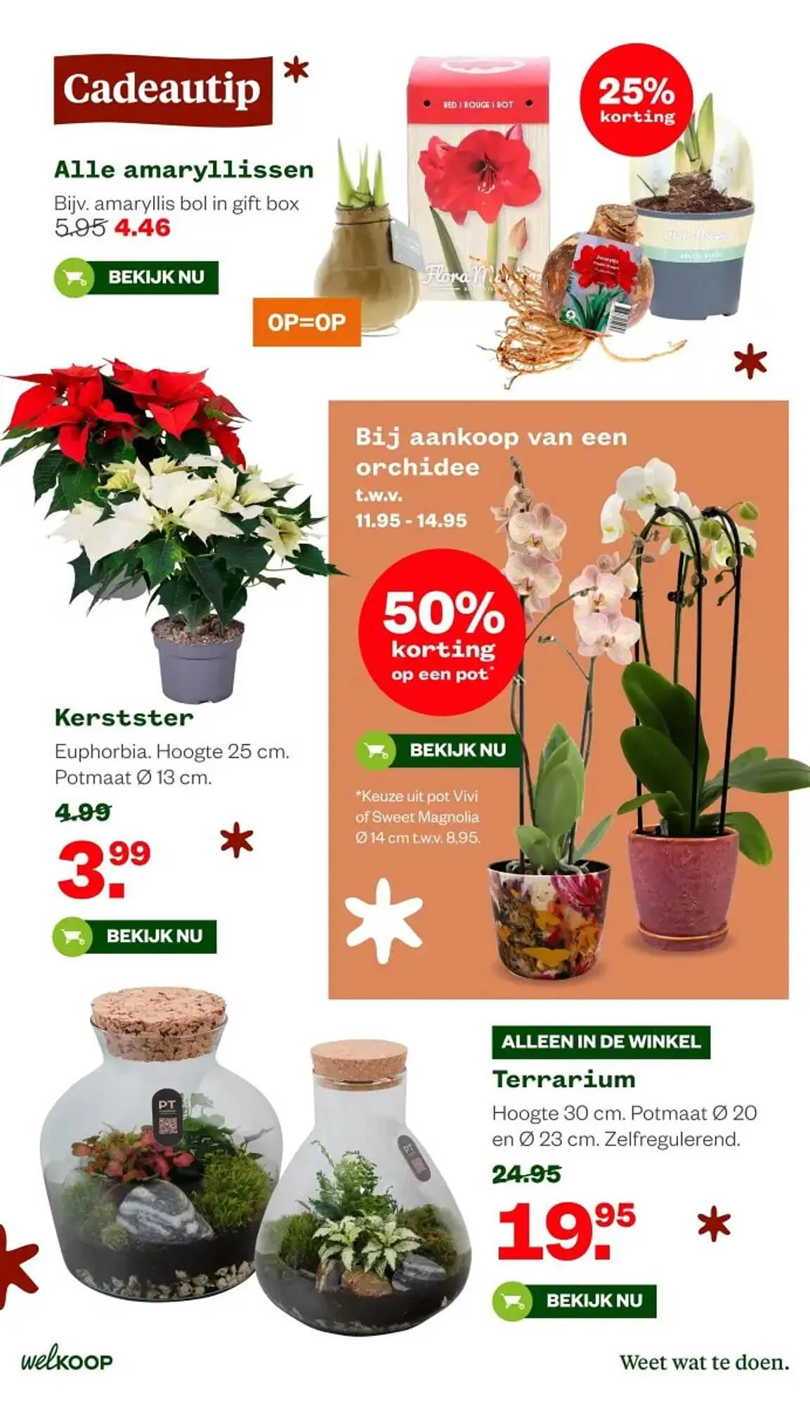 Welkoop folder van 8 december tot 28 december 2025 - Folder pagina 14