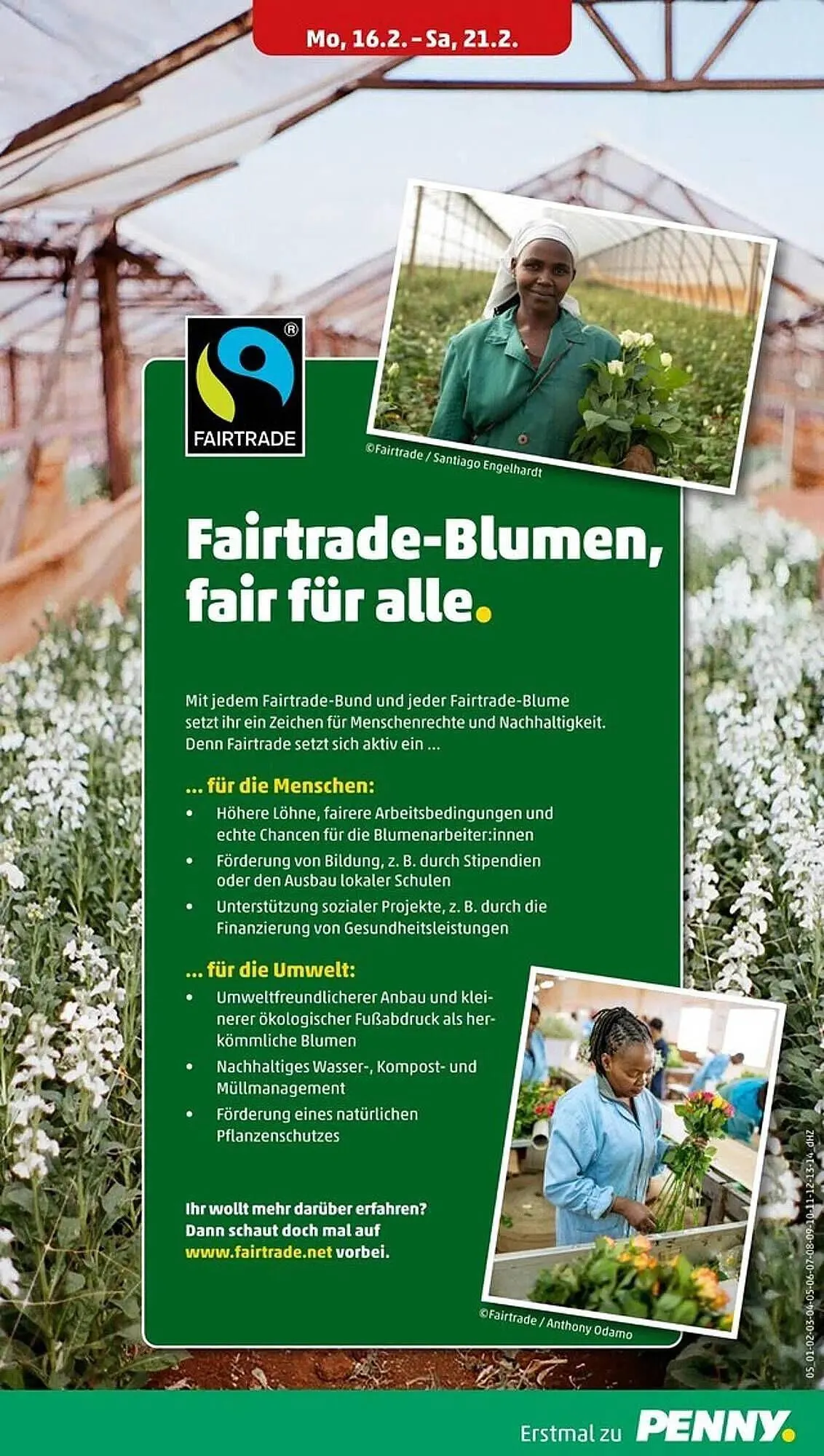 PENNY DE folder van 16 februari tot 22 februari 2026 - Folder pagina 7