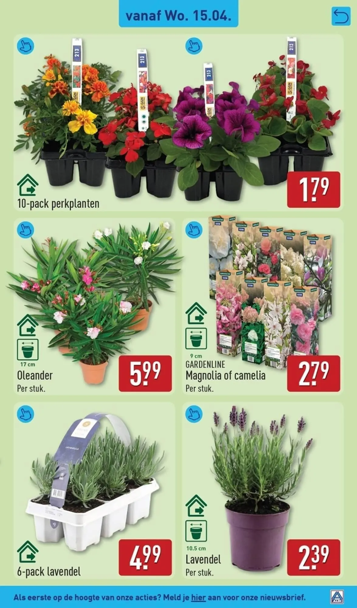 ALDI folder van 13 april tot 19 april 2026 - Folder pagina 41