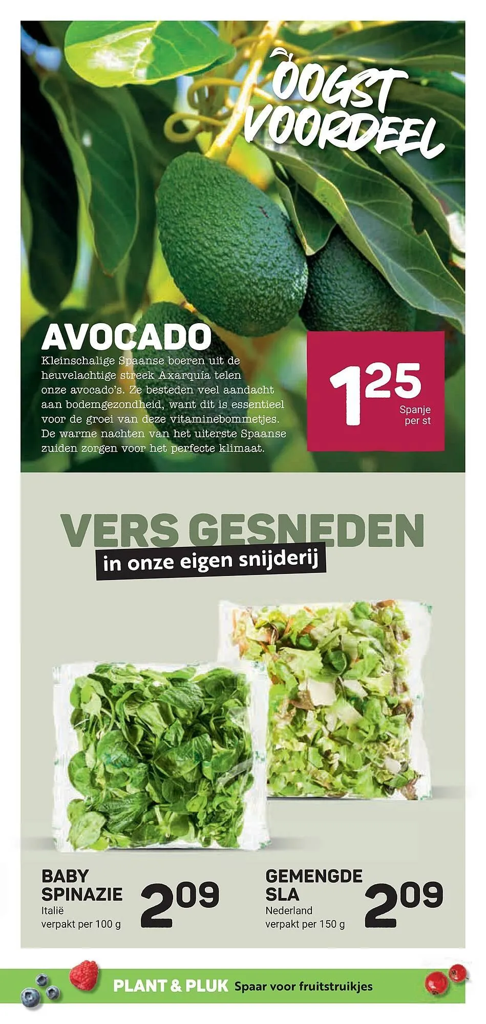 Ekoplaza folder van 2 april tot 9 april 2025 - Folder pagina 15