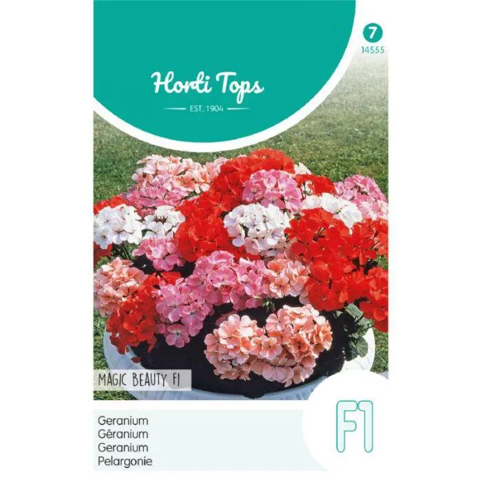 Geranium - Magic Beauty - F1