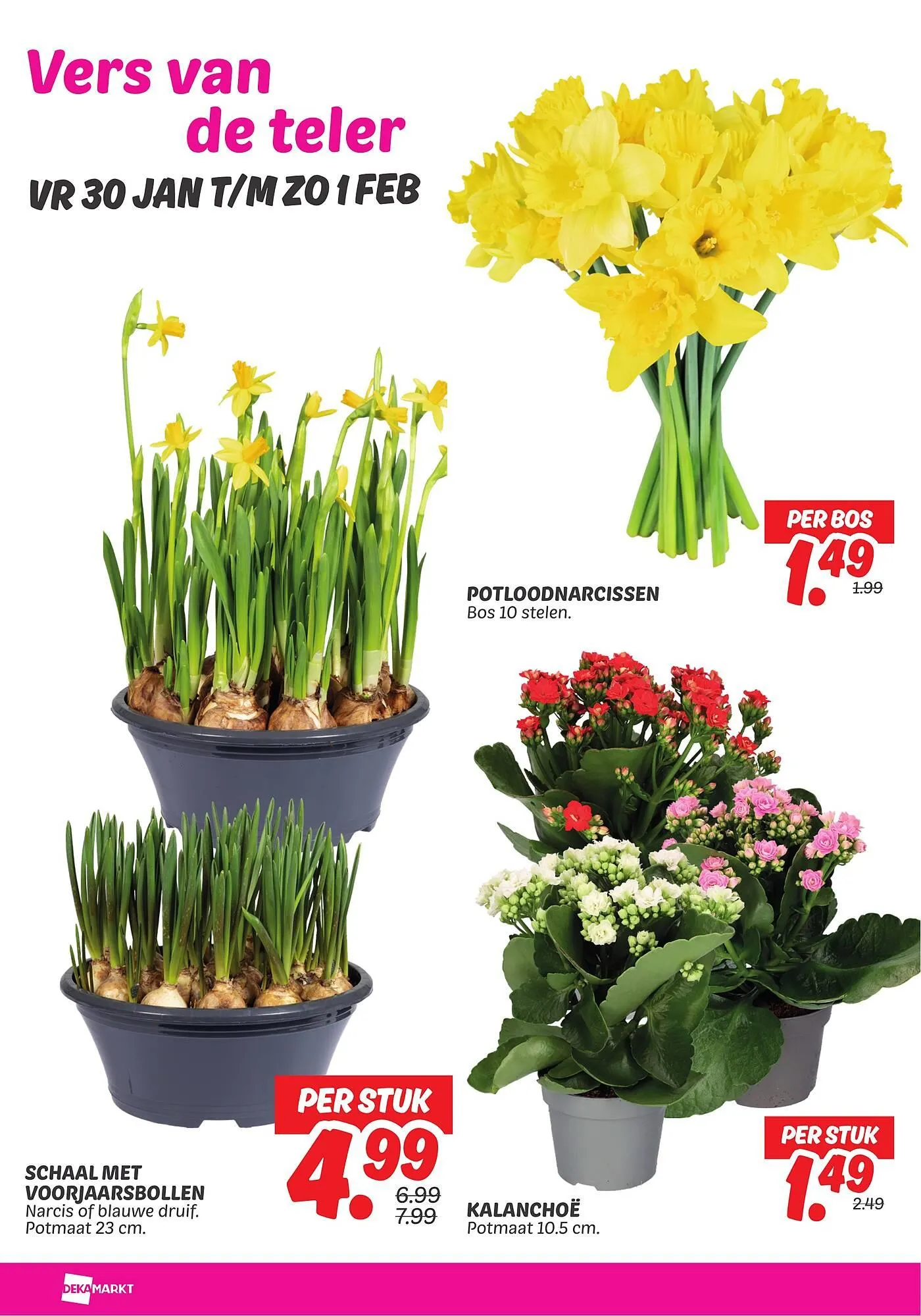Dekamarkt folder van 27 januari tot 2 februari 2026 - Folder pagina 27