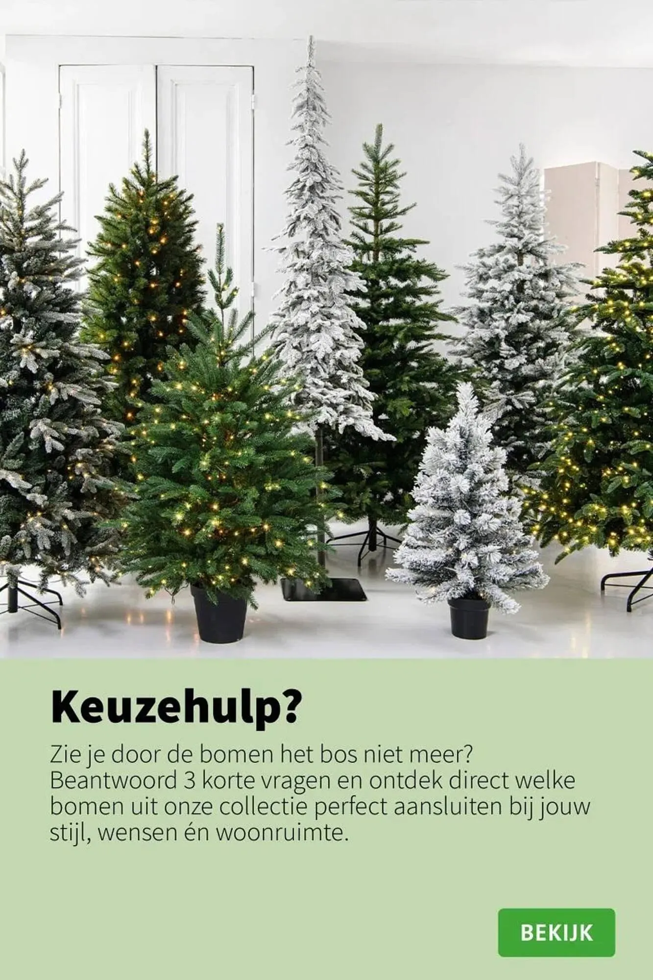 Intratuin folder van 9 oktober tot 24 december 2025 - Folder pagina 37