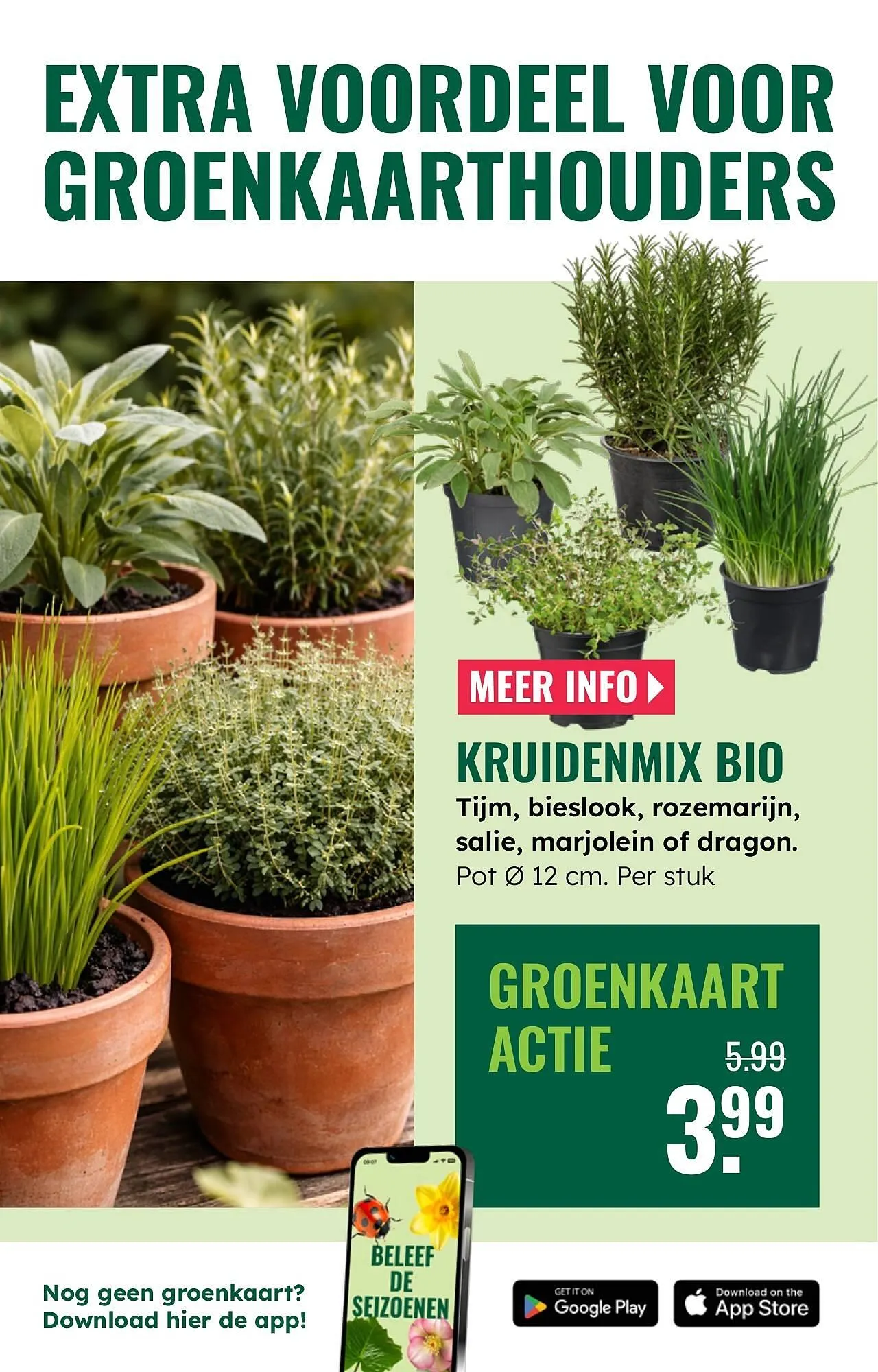 GroenRijk folder van 19 maart tot 25 maart 2026 - Folder pagina 11