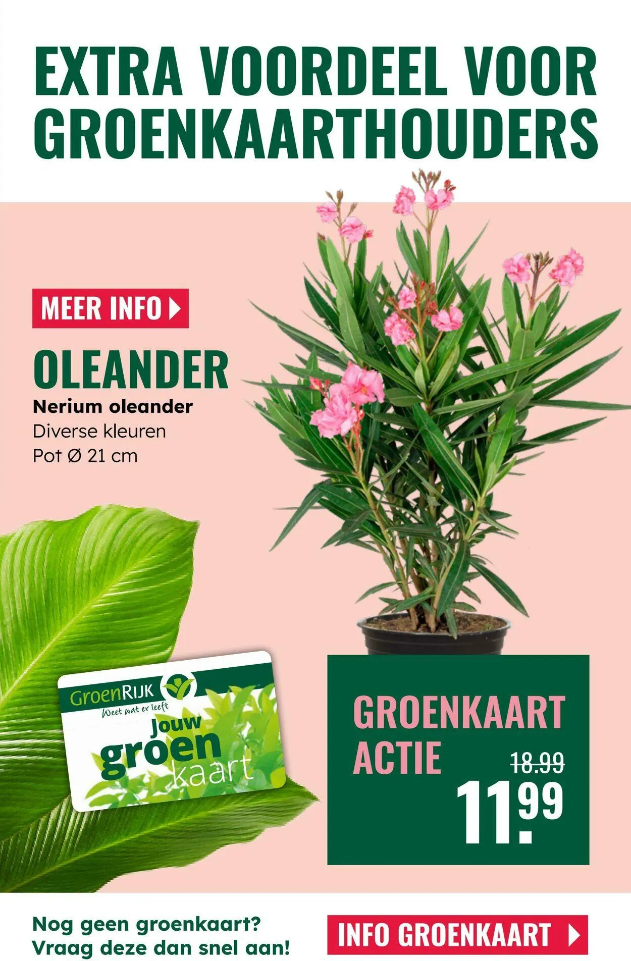 GroenRijk Actuele folder van 8 juli tot 22 juli 2025 - Folder pagina 27