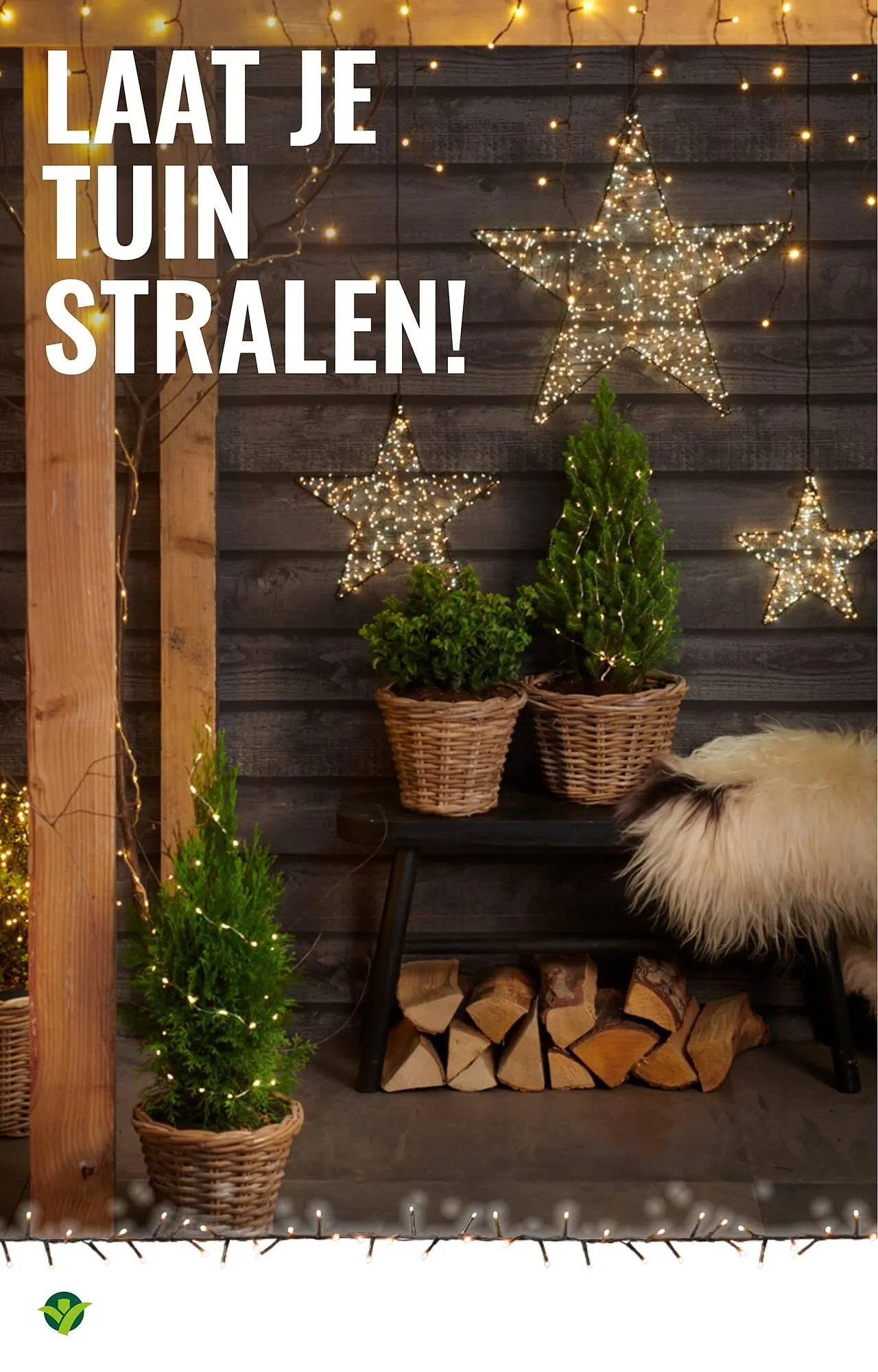 GroenRijk folder van 19 november tot 25 november 2025 - Folder pagina 12