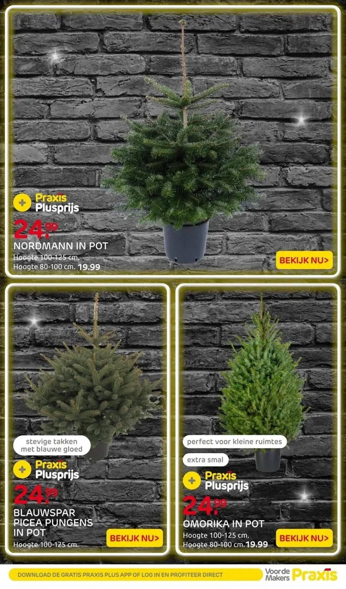 Praxis folder van 24 november tot 30 november 2025 - Folder pagina 11