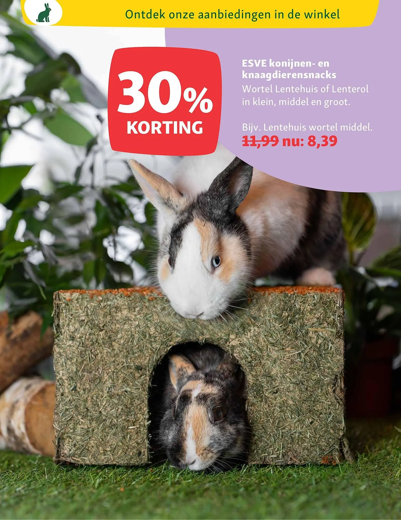 Maxi Zoo folder van 23 maart tot 29 maart 2026 - Folder pagina 19