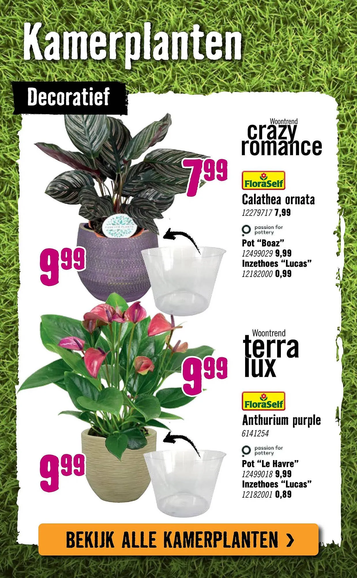 Hornbach folder van 29 september tot 26 oktober 2025 - Folder pagina 80