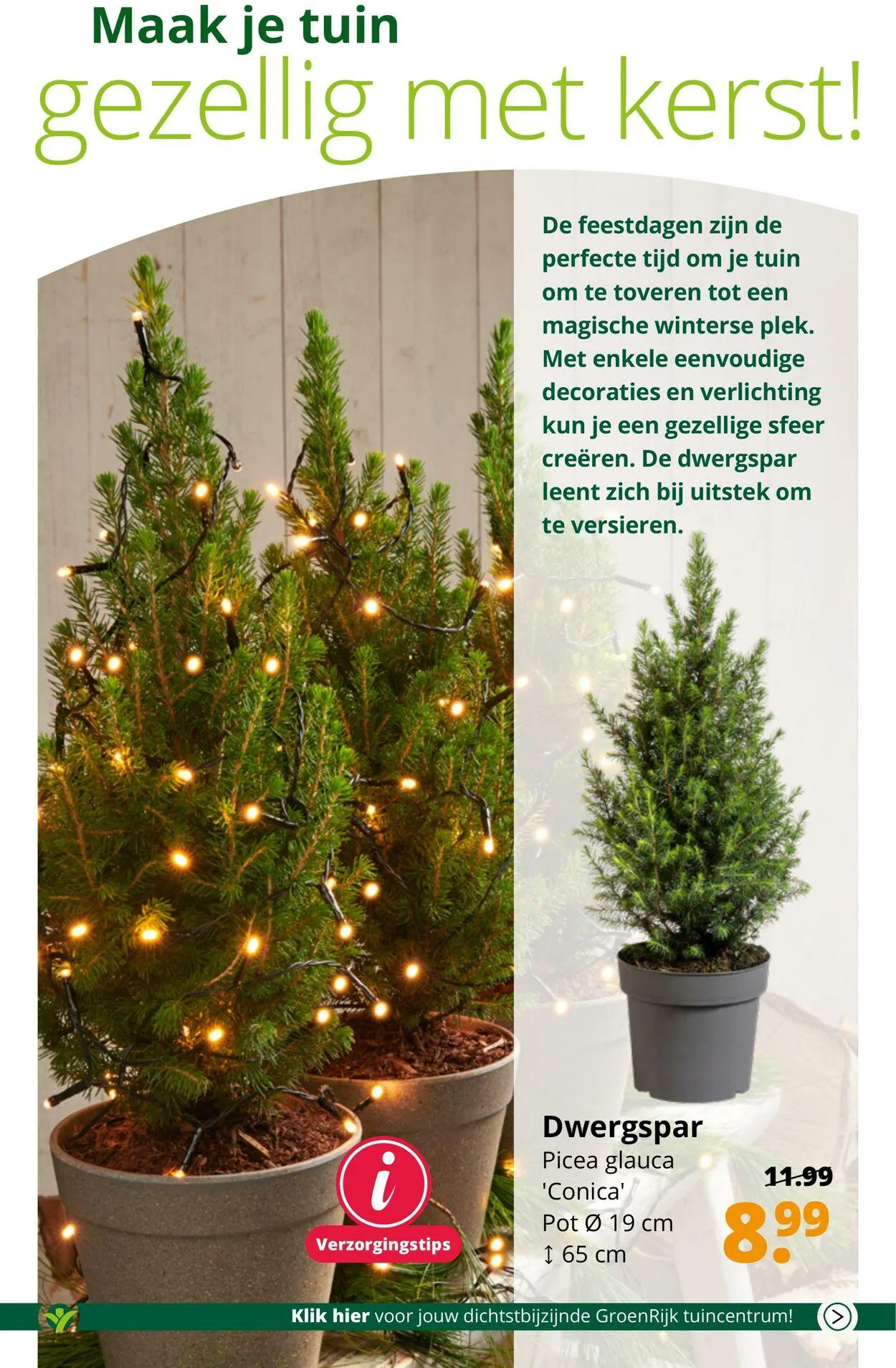 GroenRijk Actuele folder van 21 januari tot 4 februari 2025 - Folder pagina 2